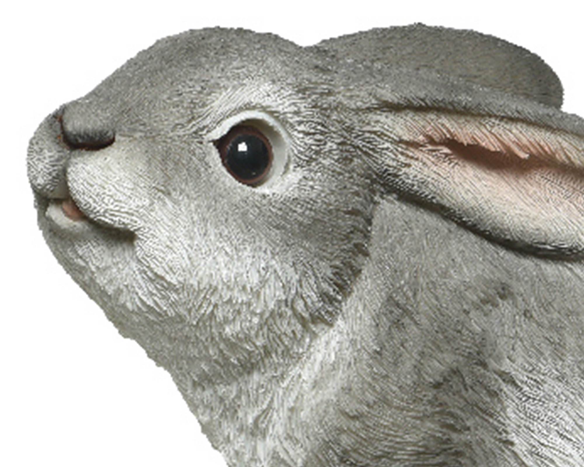 Statua Deco Giardino Coppia Coniglietti Grigio Assortito in Resina - Kaemingk - immagine 2