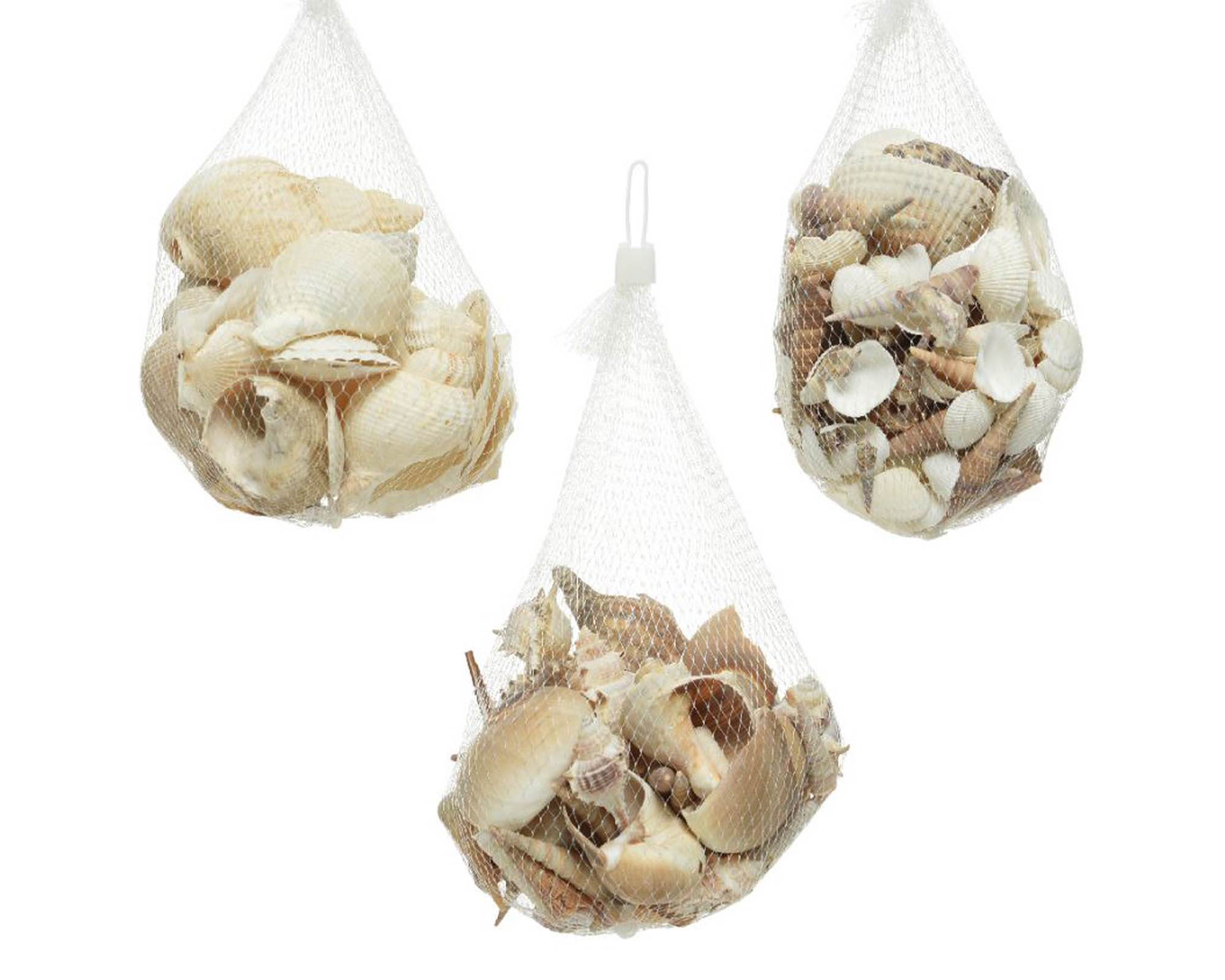 Busta Conchiglie Naturali Assortito 14x14x8cm - Kaemingk