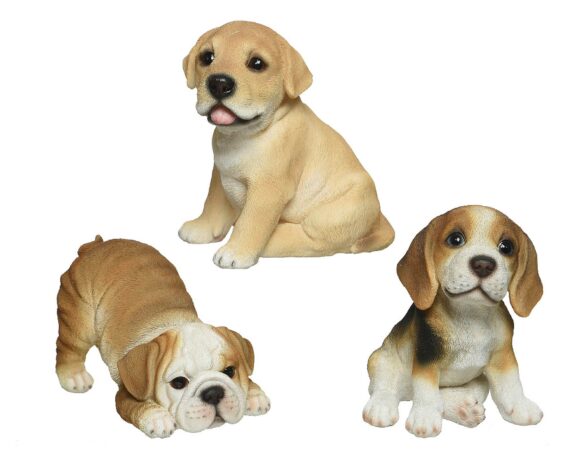 Statua Deco Giardino Cagnolino Assortito in Resina – Kaemingk