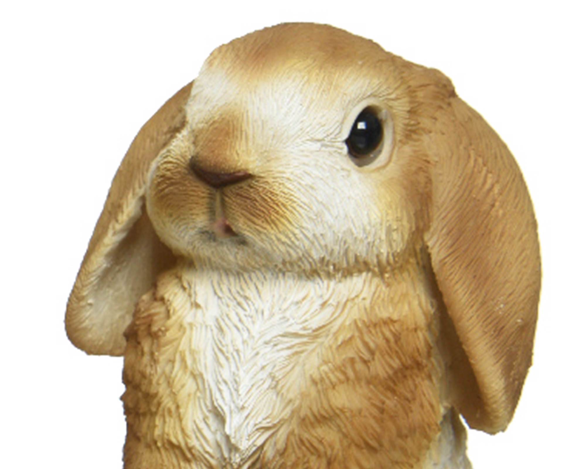 Statua Deco Giardino Coniglietto Bianco e Miele Assortito in Resina - Kaemingk - immagine 2