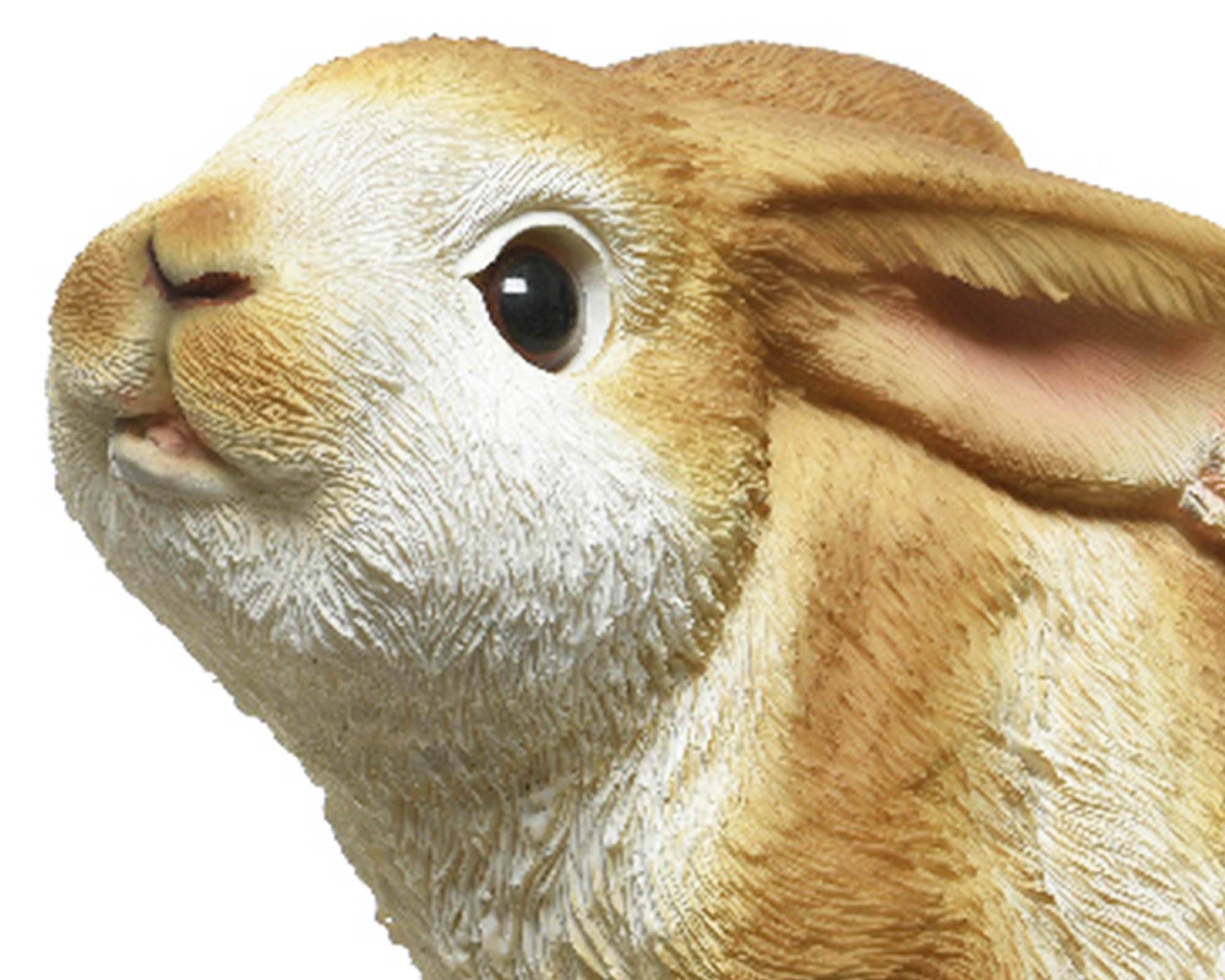 Statua Deco Giardino Coppia Coniglietti Bianco e Miele in Resina - Kaemingk - immagine 2