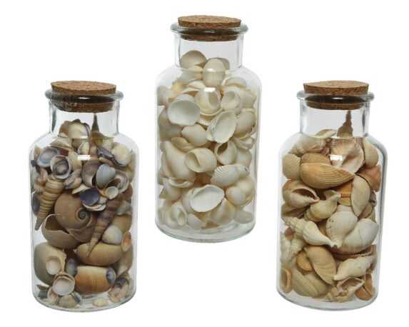 Bottiglia con Conchiglie Assortito D8xH16cm in Vetro – Kaemingk