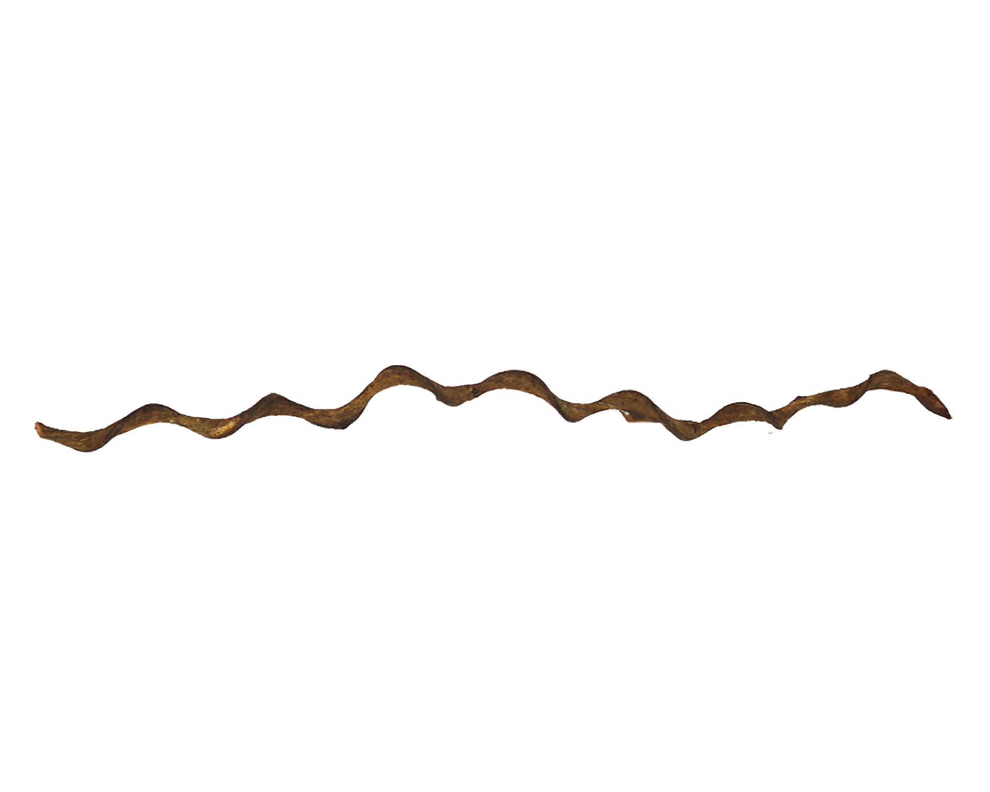 Ramo Decorativo Naturale 120cm in Legno - Dijk