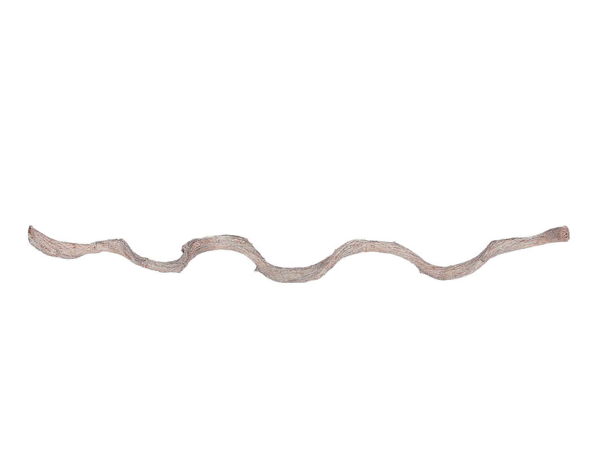 Ramo Decorativo Bianco 120cm in Legno - Dijk