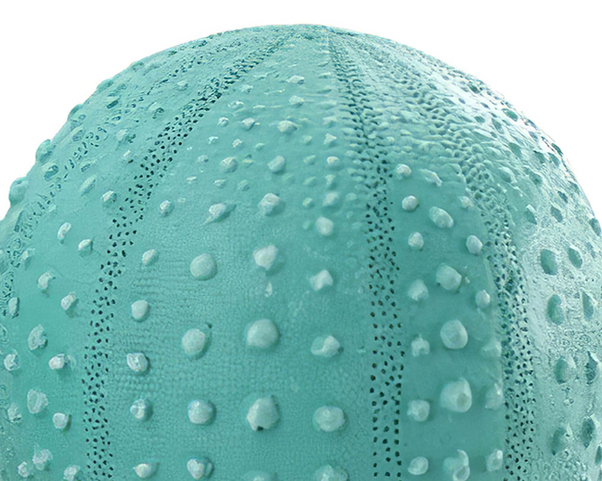 Sfera Corallo Blu Verde D10cm in Resina - Dijk - immagine 4