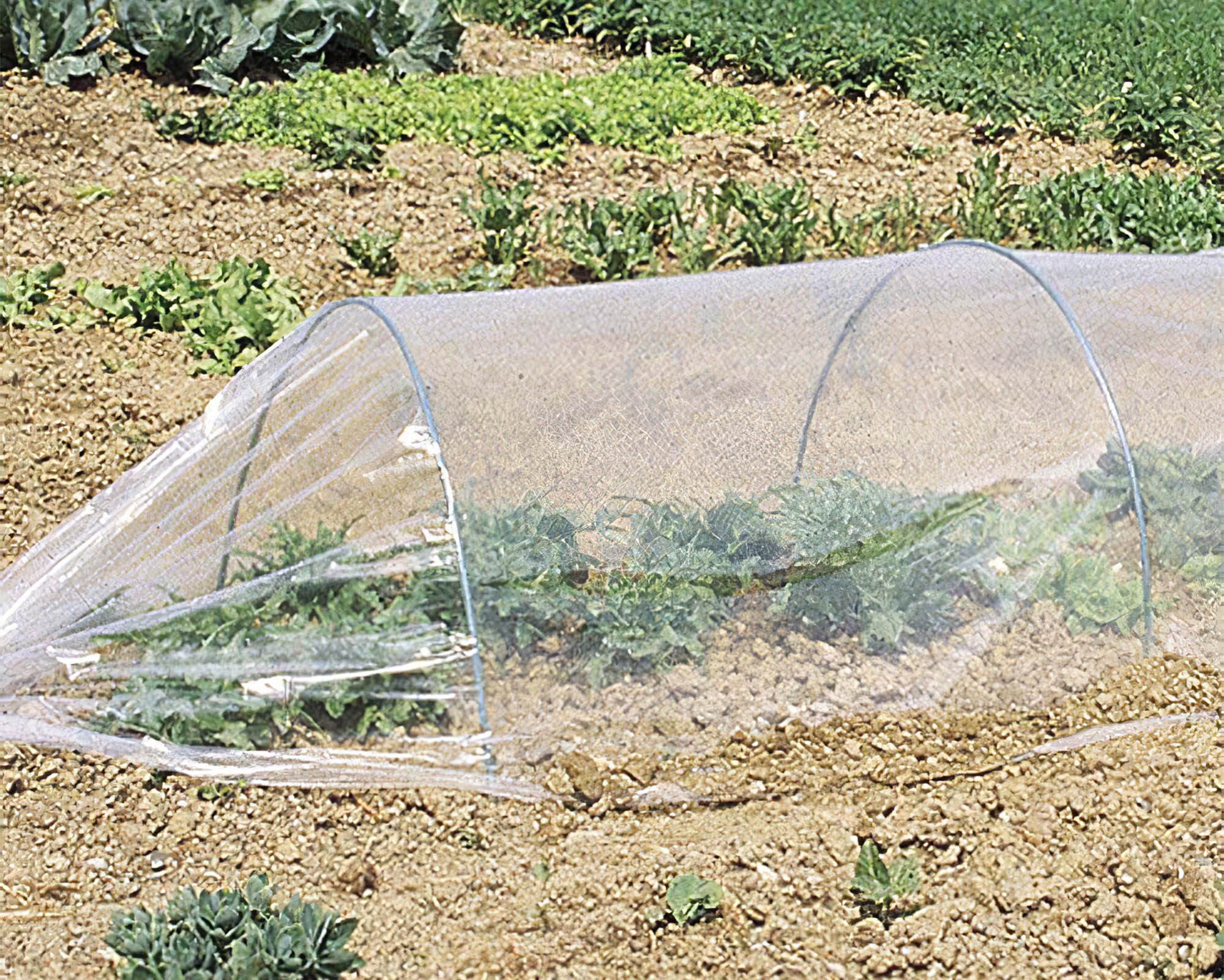 Kit Tunnel 3x1,2m in PVC - VerdeMAX - immagine 2