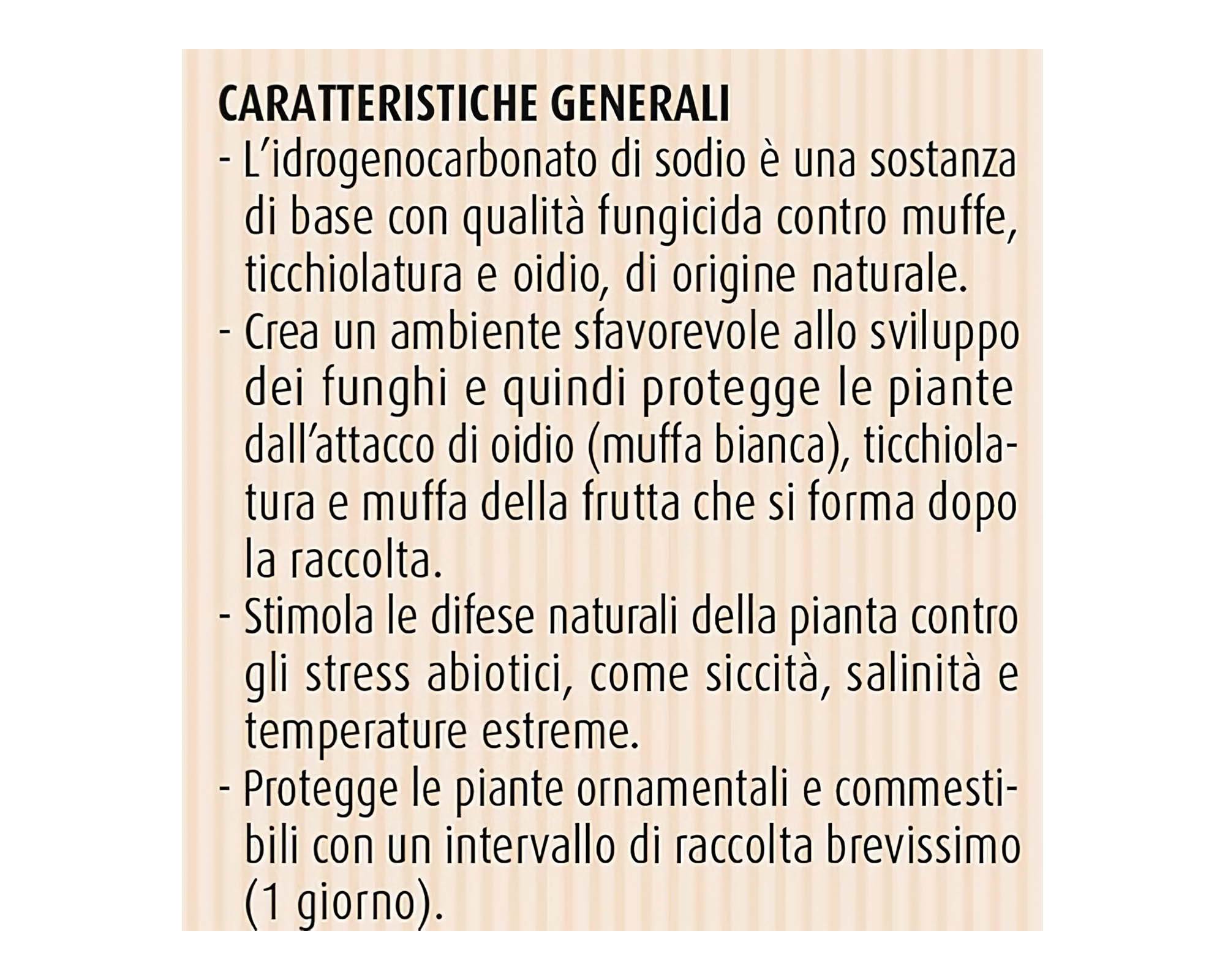 Fungicida Oidio e Ticchiolatura in Polvere da 250g - Compo - immagine 5