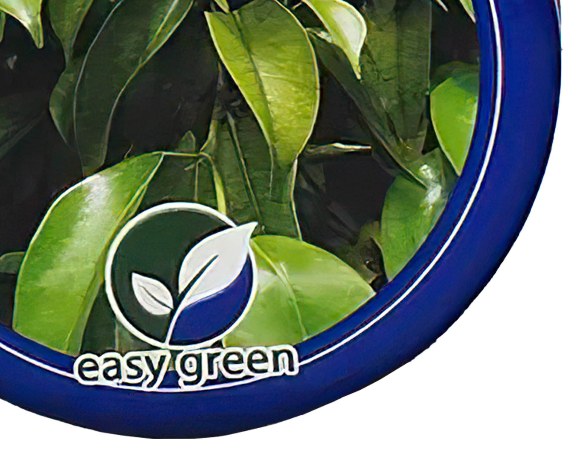 Concime Ferro Rinverdente Polvere da 30g - immagine 2