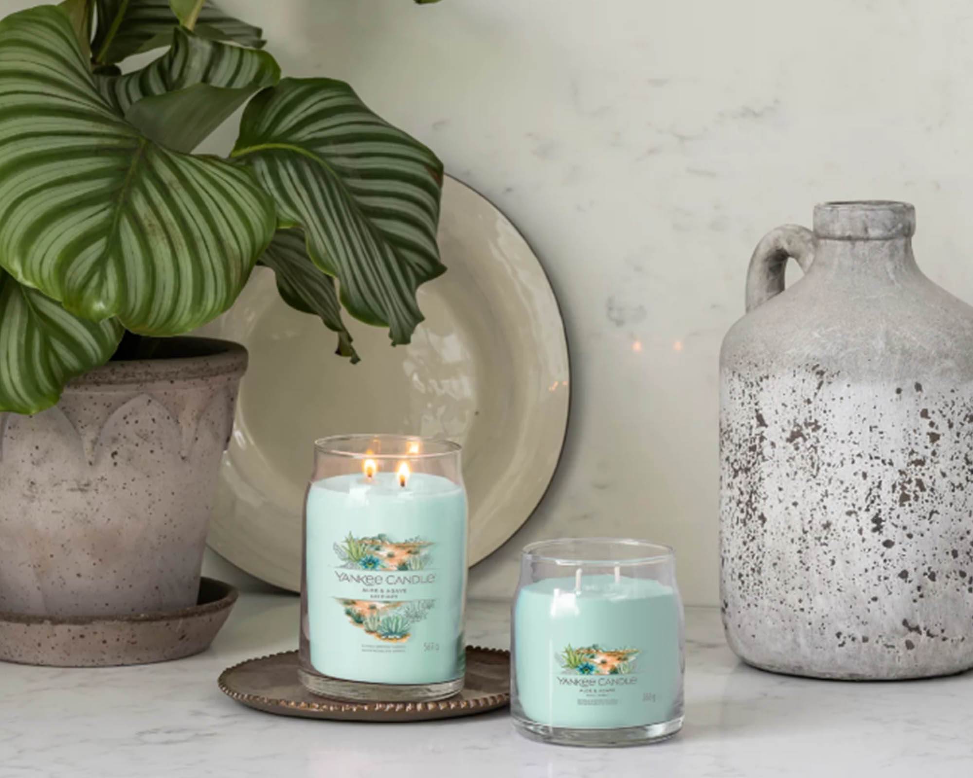 Giara Candela Media Signature Aloe Agave - Yankee Candle - immagine 2