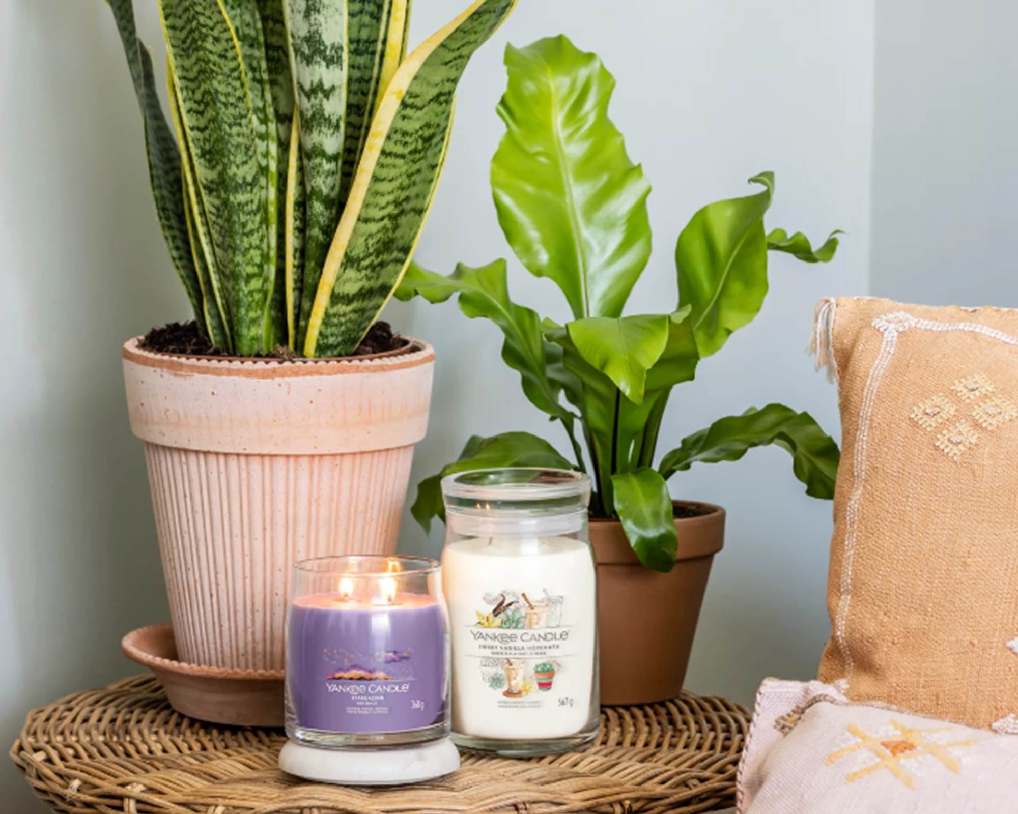 Giara Candela Grande Signature Sweet Vanilla Horchata - Yankee Candle - immagine 2