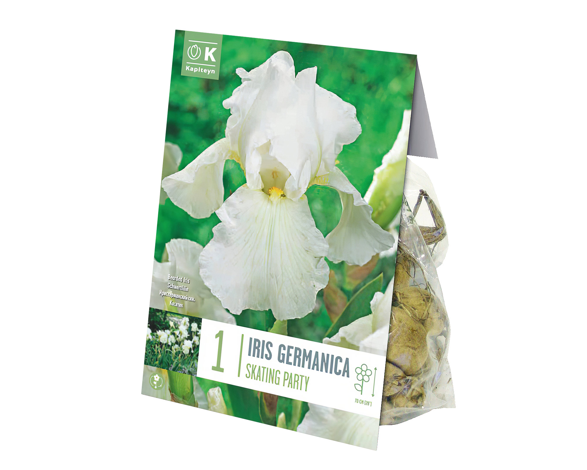 X1 Bulbo Iris Skating Party - Kapiteyn