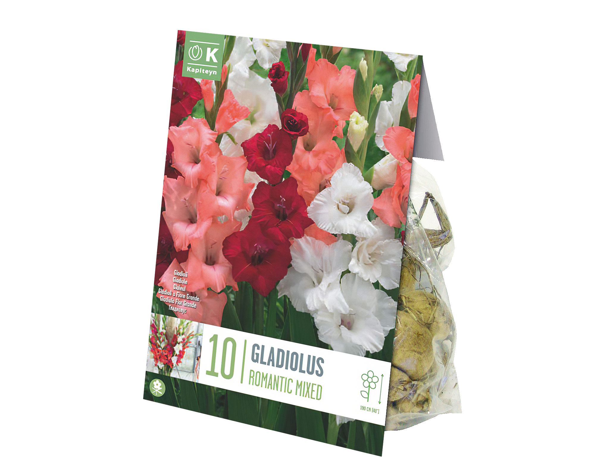 X10 Bulbo Gladiolus Romantic Mixed (Gladiolo) - Kapiteyn