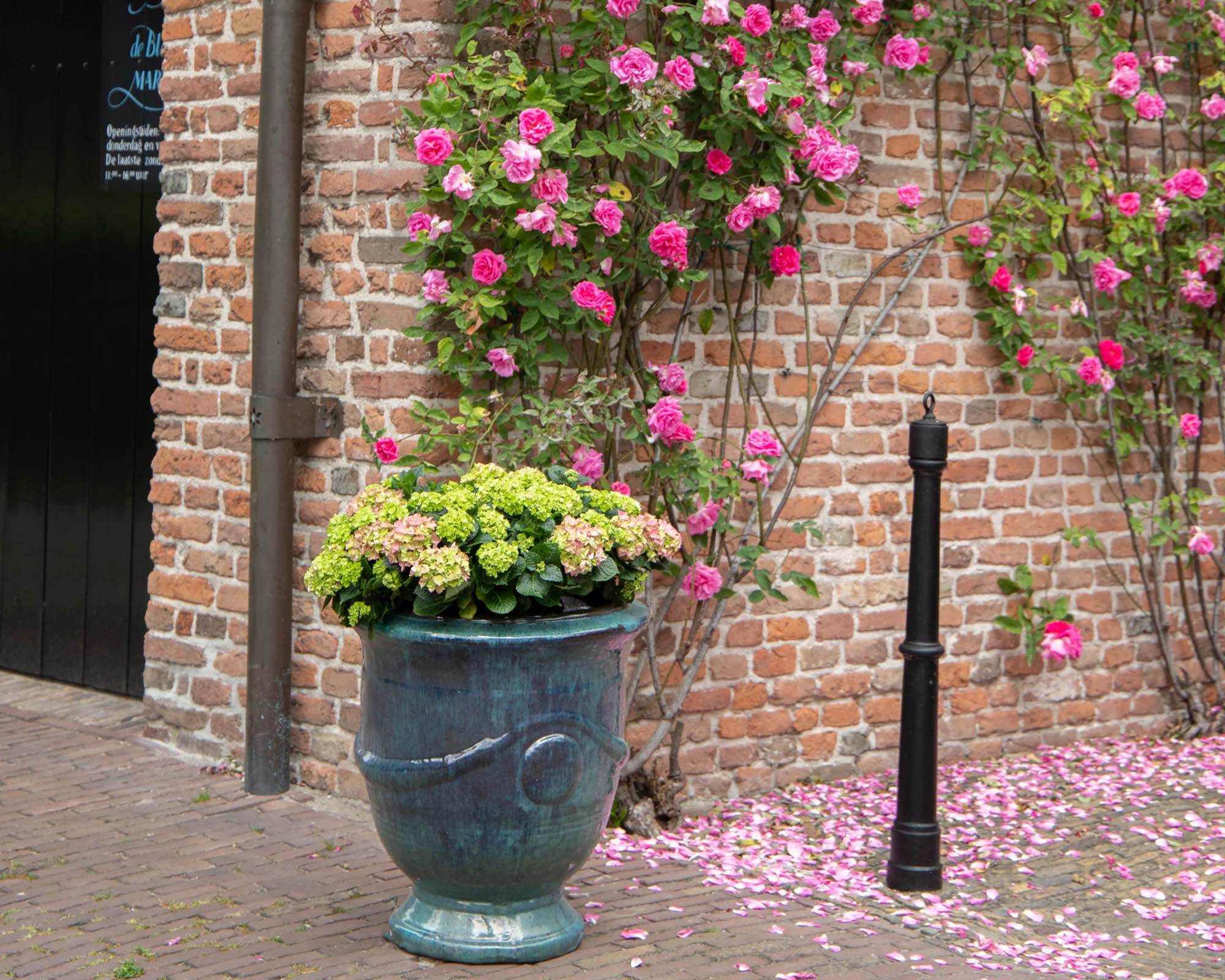 Cachepot Anduze Celadon D29x32cm in Ceramica - Mega Collections - immagine 3