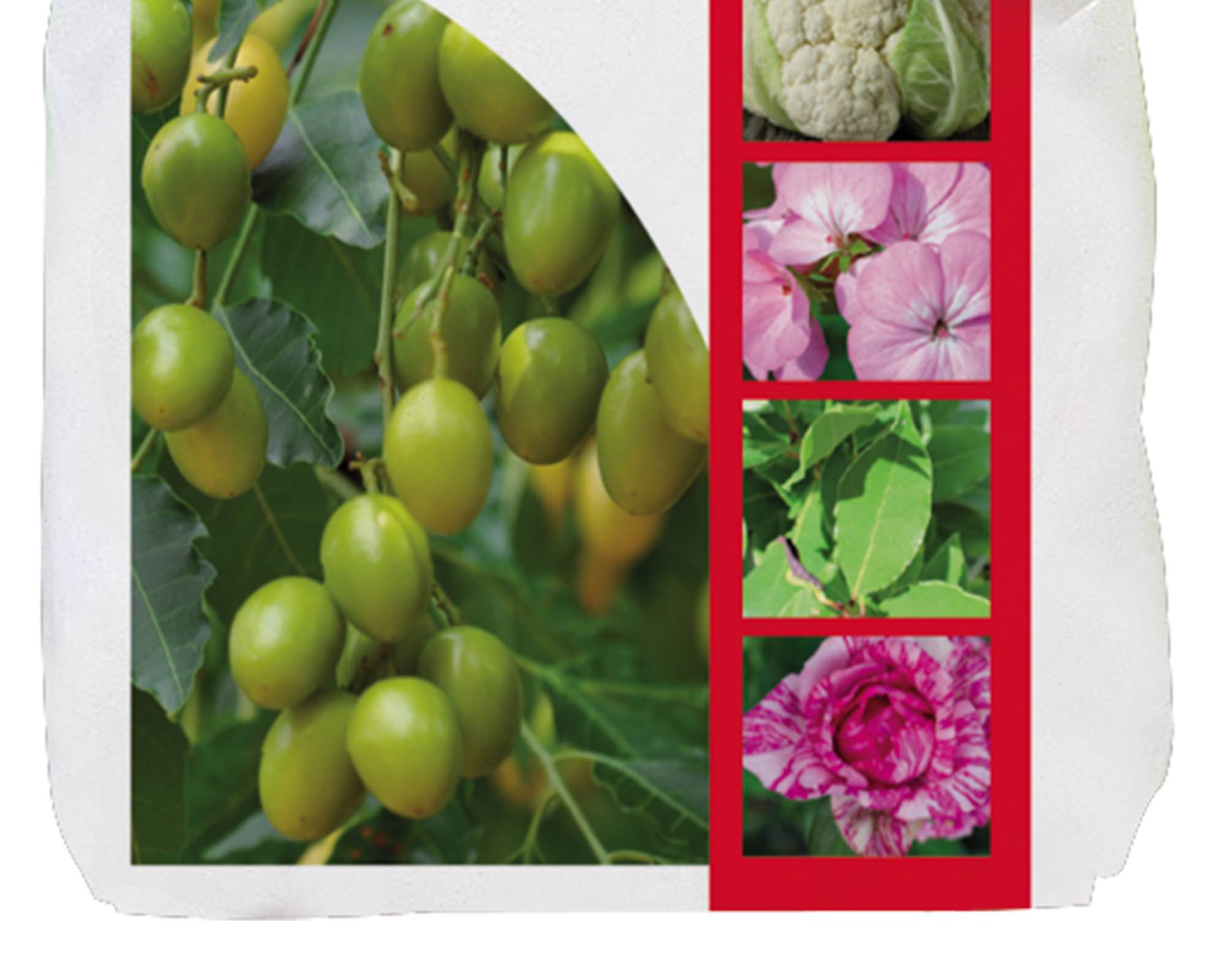 Concime Neem in Polvere 1,2 Kg - Cifo - immagine 2