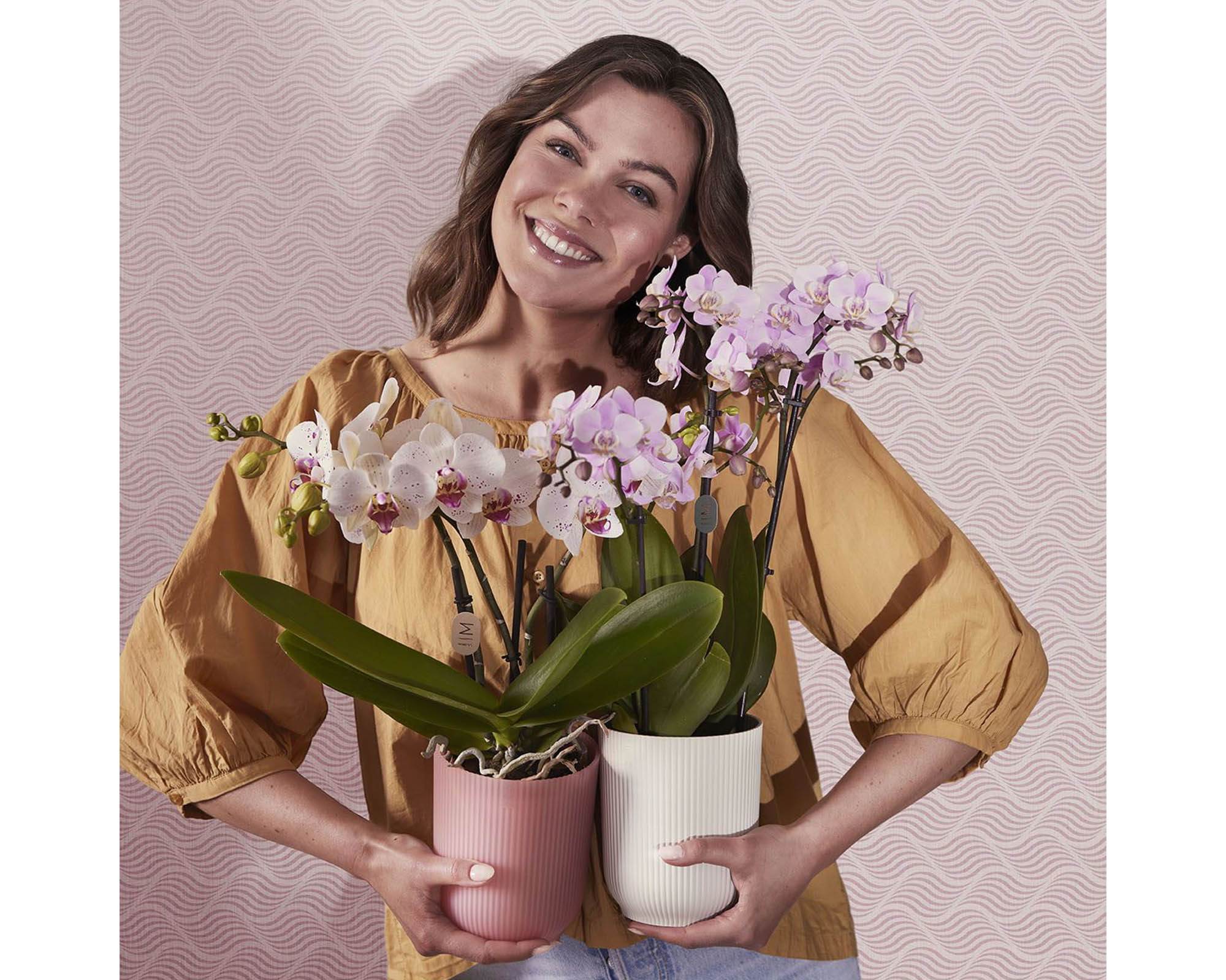 Cachepot Tondo Vibes Orchidea Rosa Smaltato D12,5cm - Elho - immagine 7