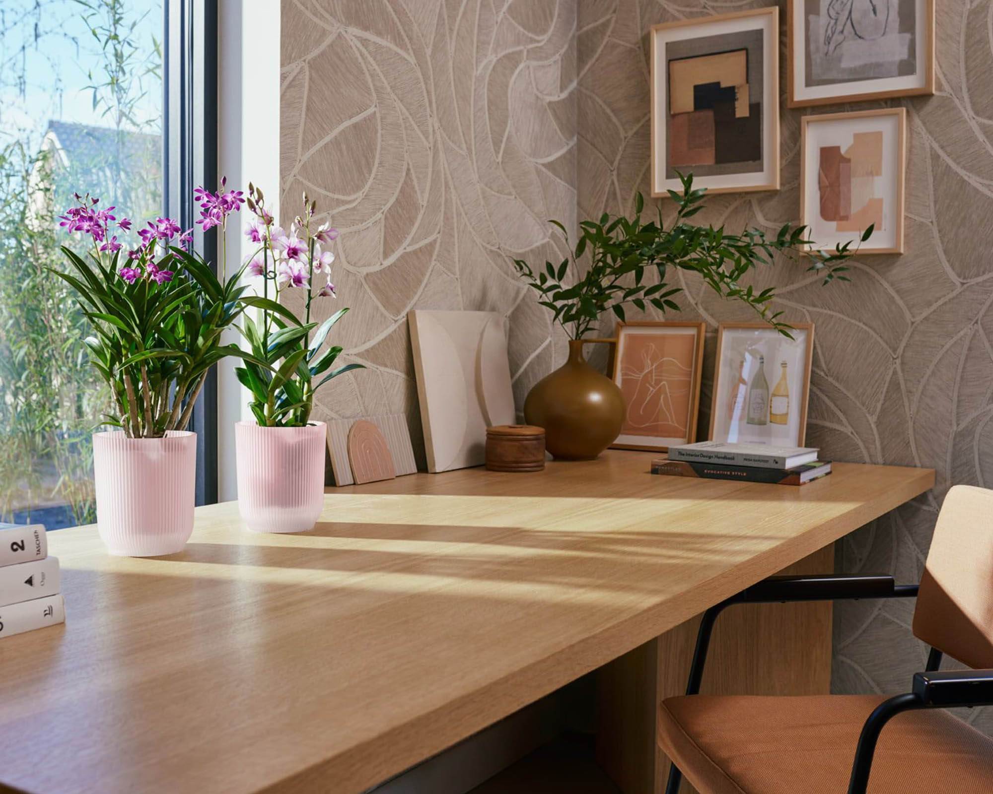 Cachepot Tondo Vibes Orchidea Rosa Smaltato D12,5cm - Elho - immagine 11