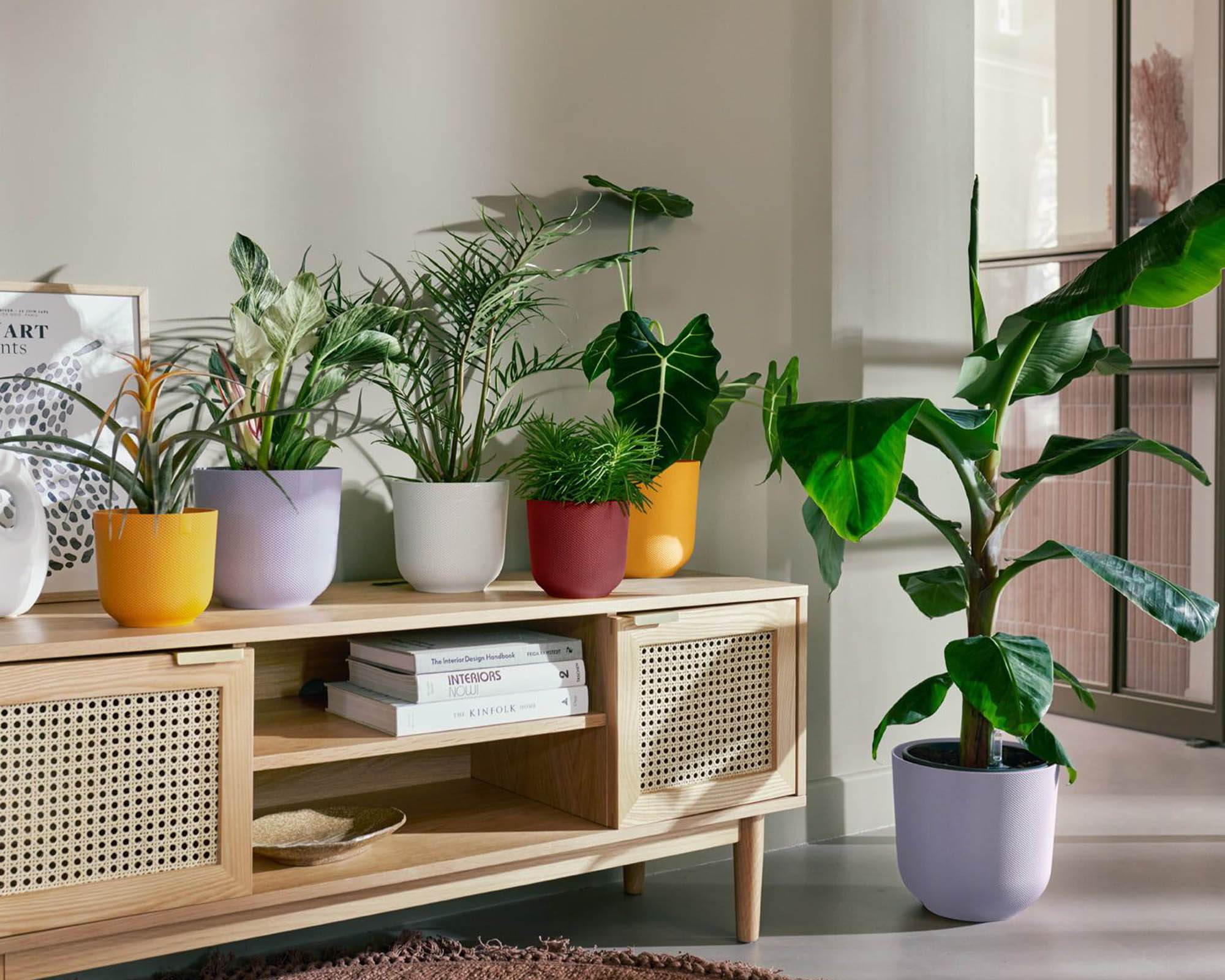 Cachepot Tondo Jazz Bianco Seta D23cm in Plastica Riciclata - Elho - immagine 8