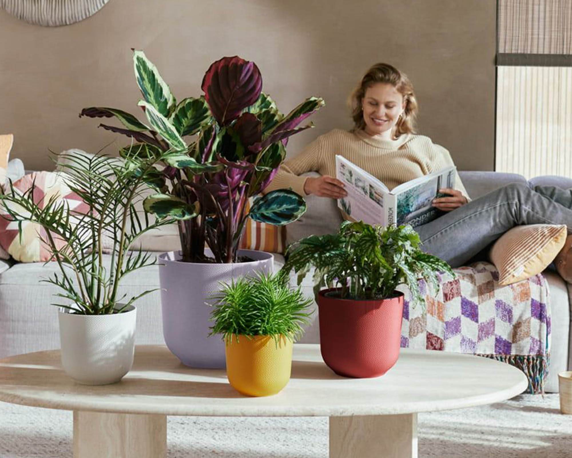 Cachepot Tondo Jazz Bianco Seta D23cm in Plastica Riciclata - Elho - immagine 9