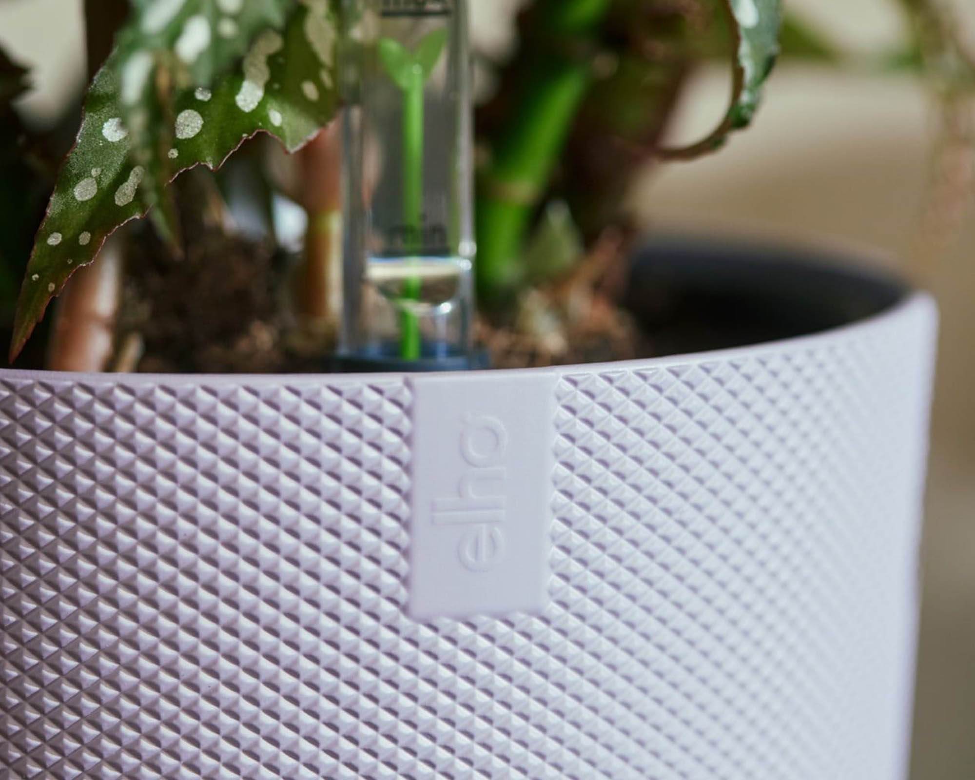 Cachepot Tondo Jazz Lavanda D26cm in Plastica Riciclata - Elho - immagine 3