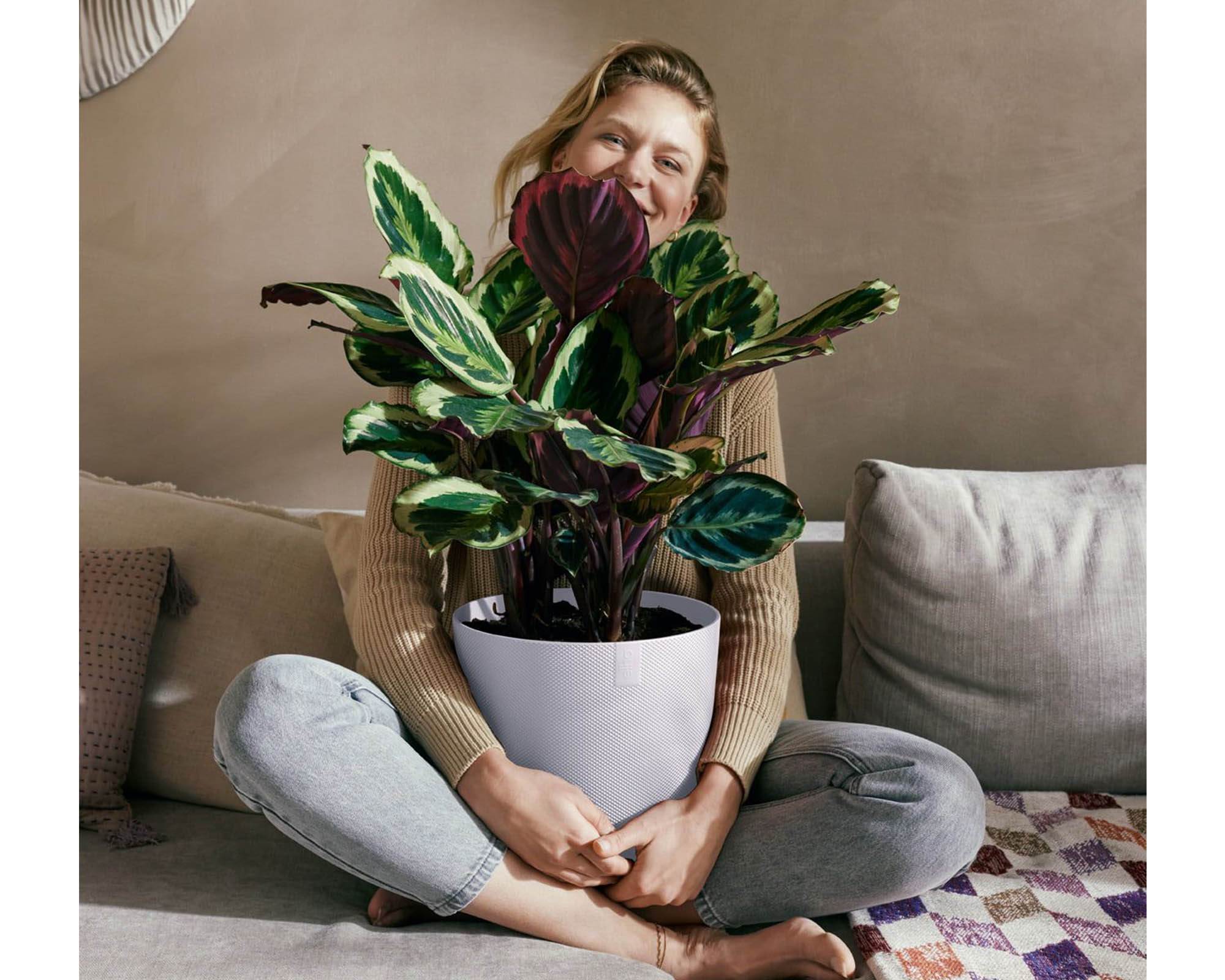 Cachepot Tondo Jazz Lavanda D26cm in Plastica Riciclata - Elho - immagine 4