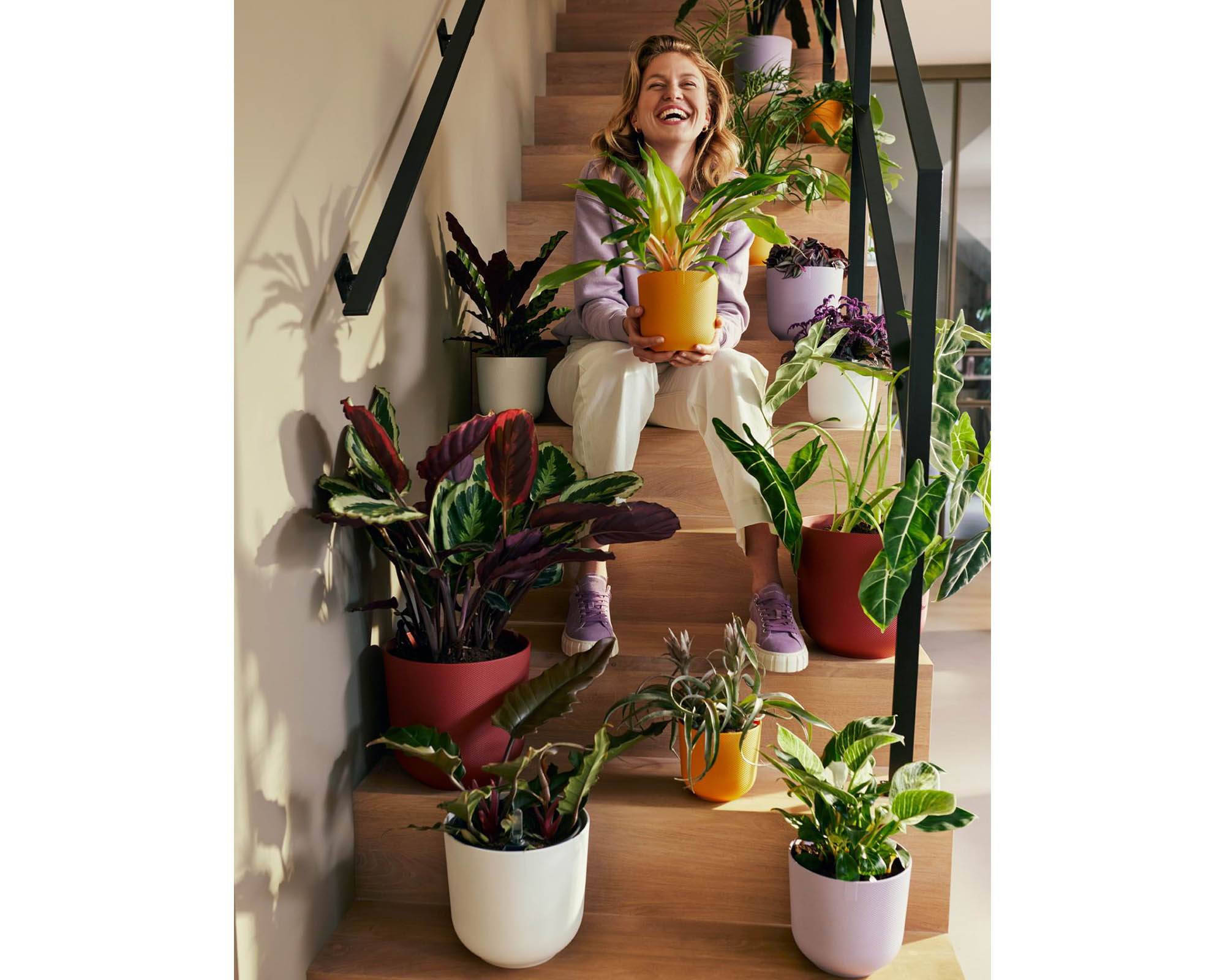 Cachepot Tondo Jazz Lavanda D26cm in Plastica Riciclata - Elho - immagine 6