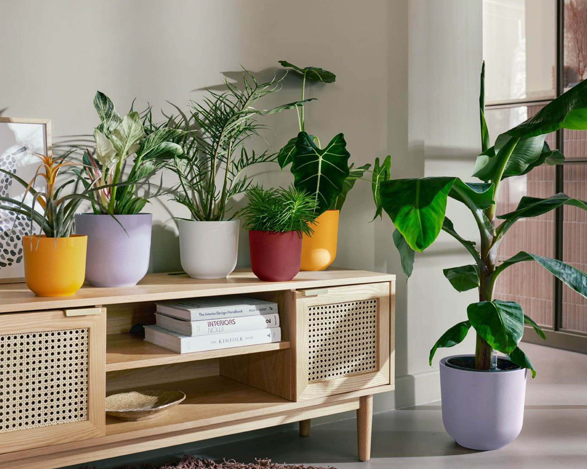 Cachepot Tondo Jazz Lavanda D26cm in Plastica Riciclata - Elho - immagine 8