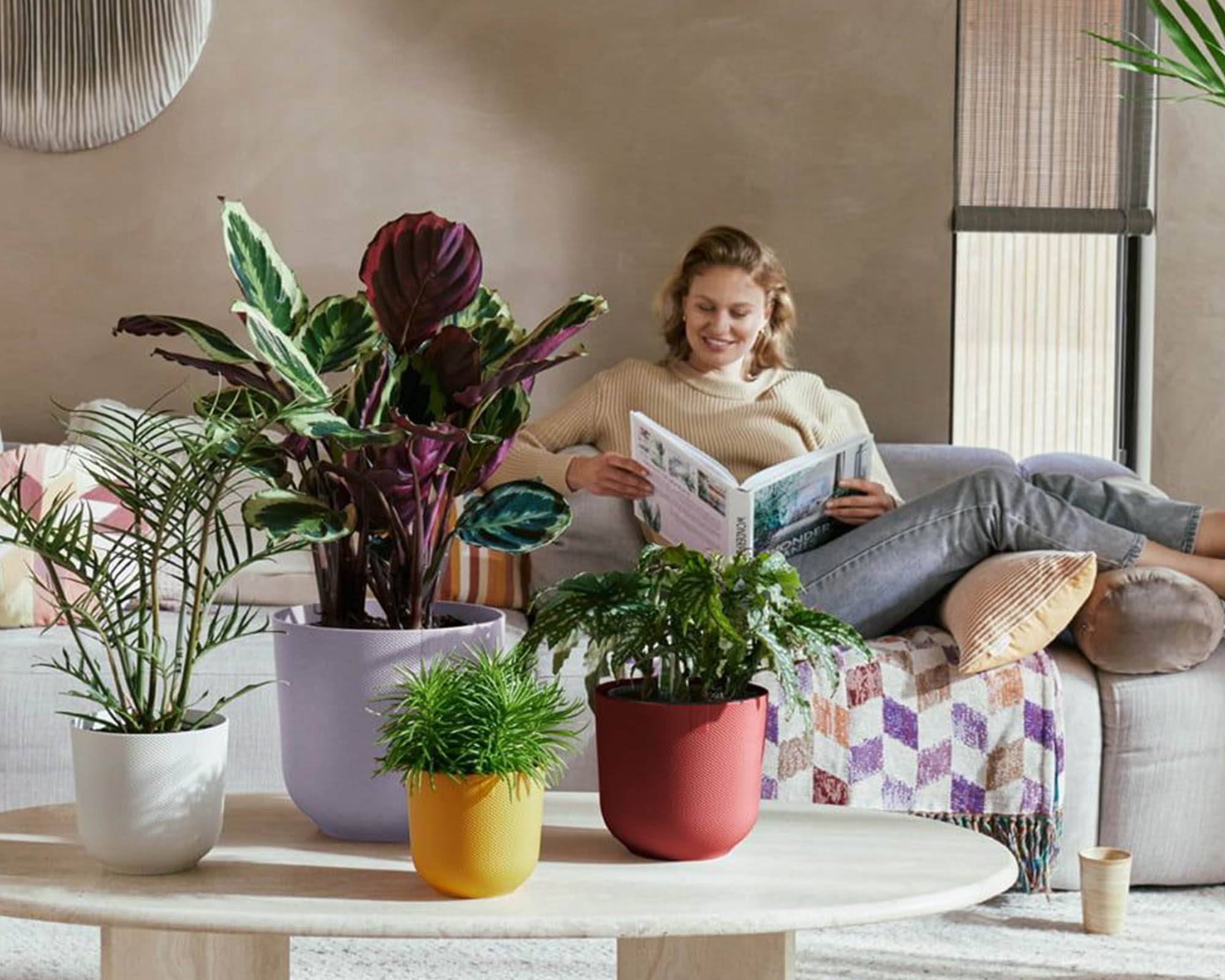 Cachepot Tondo Jazz Lavanda D26cm in Plastica Riciclata - Elho - immagine 9