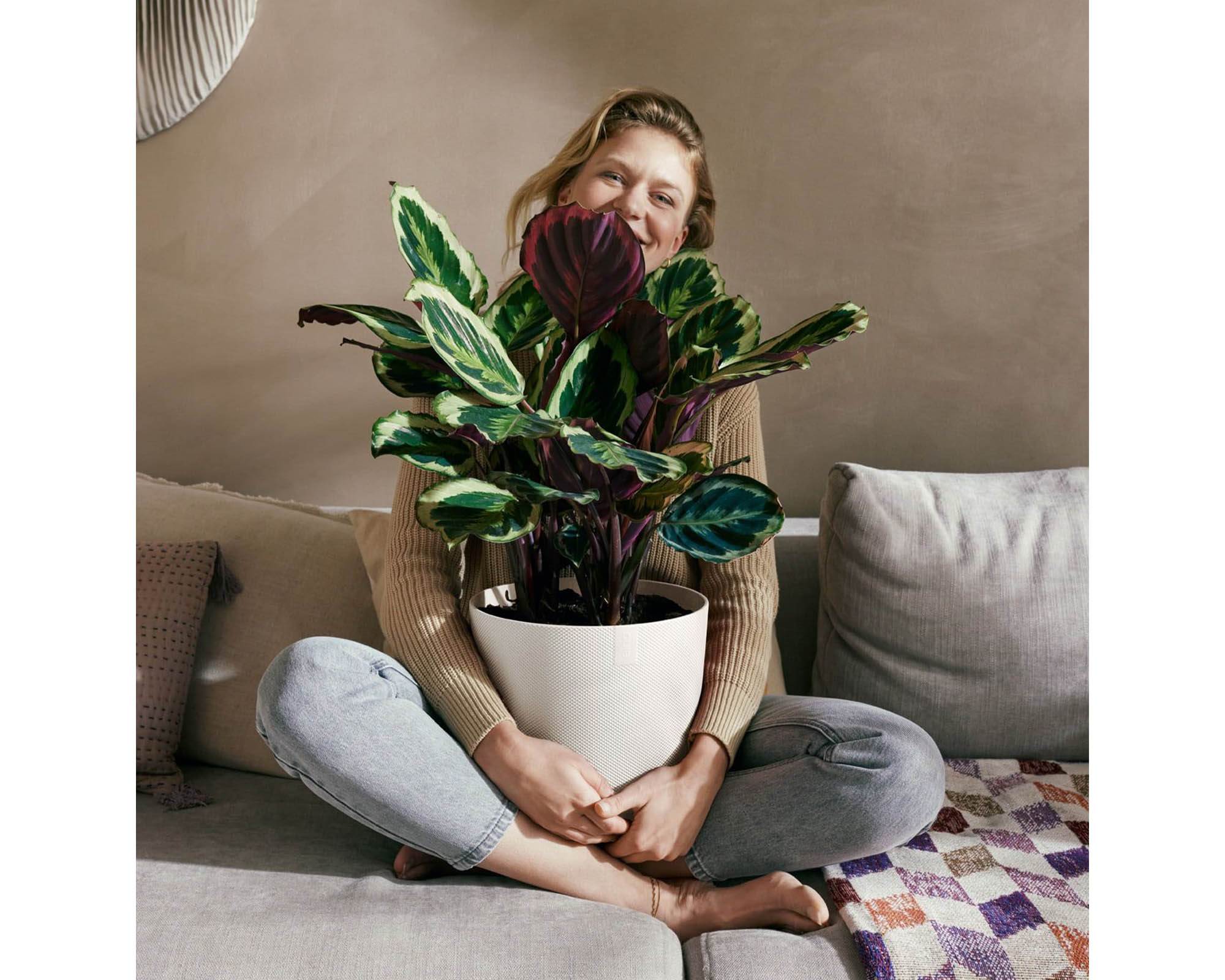 Cachepot Tondo Jazz Bianco Seta D16cm in Plastica Riciclata - Elho - immagine 4