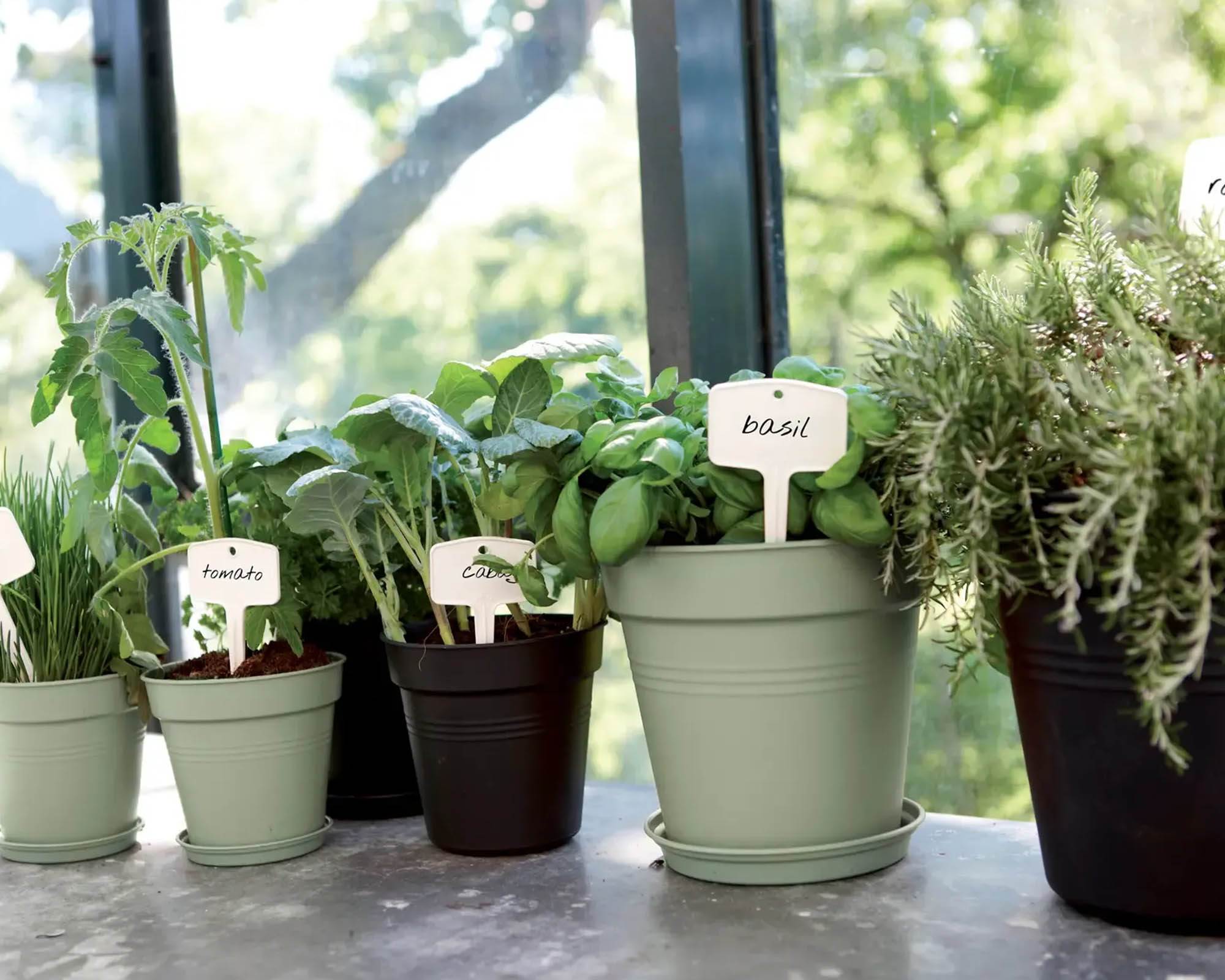 Vaso Green Basics Verde Pietra D25cm in Plastica Riciclata - immagine 4