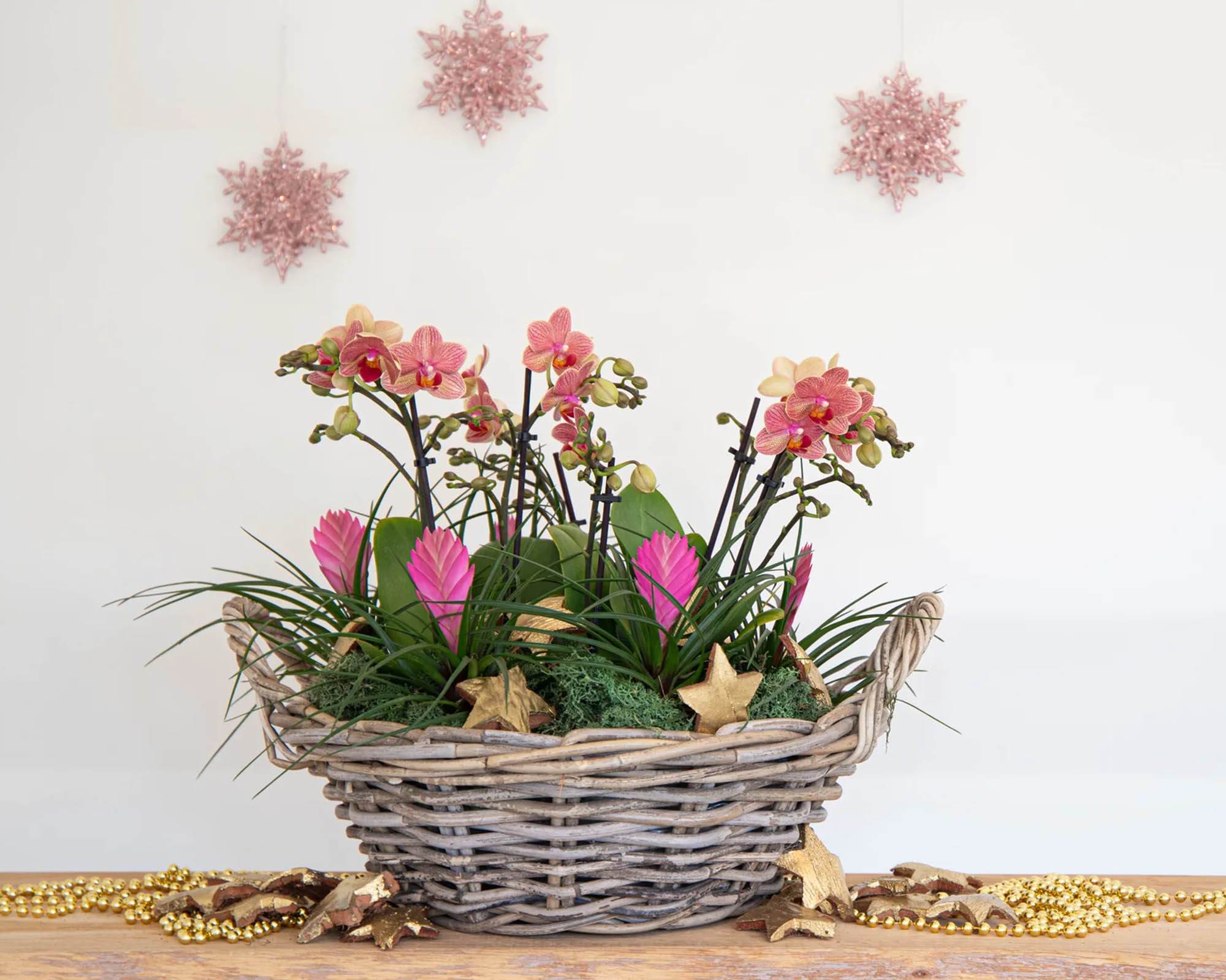 Porta Piante Cesta Manici Cubu D40x14cm in Fibra Naturale - Mega Collections - immagine 3