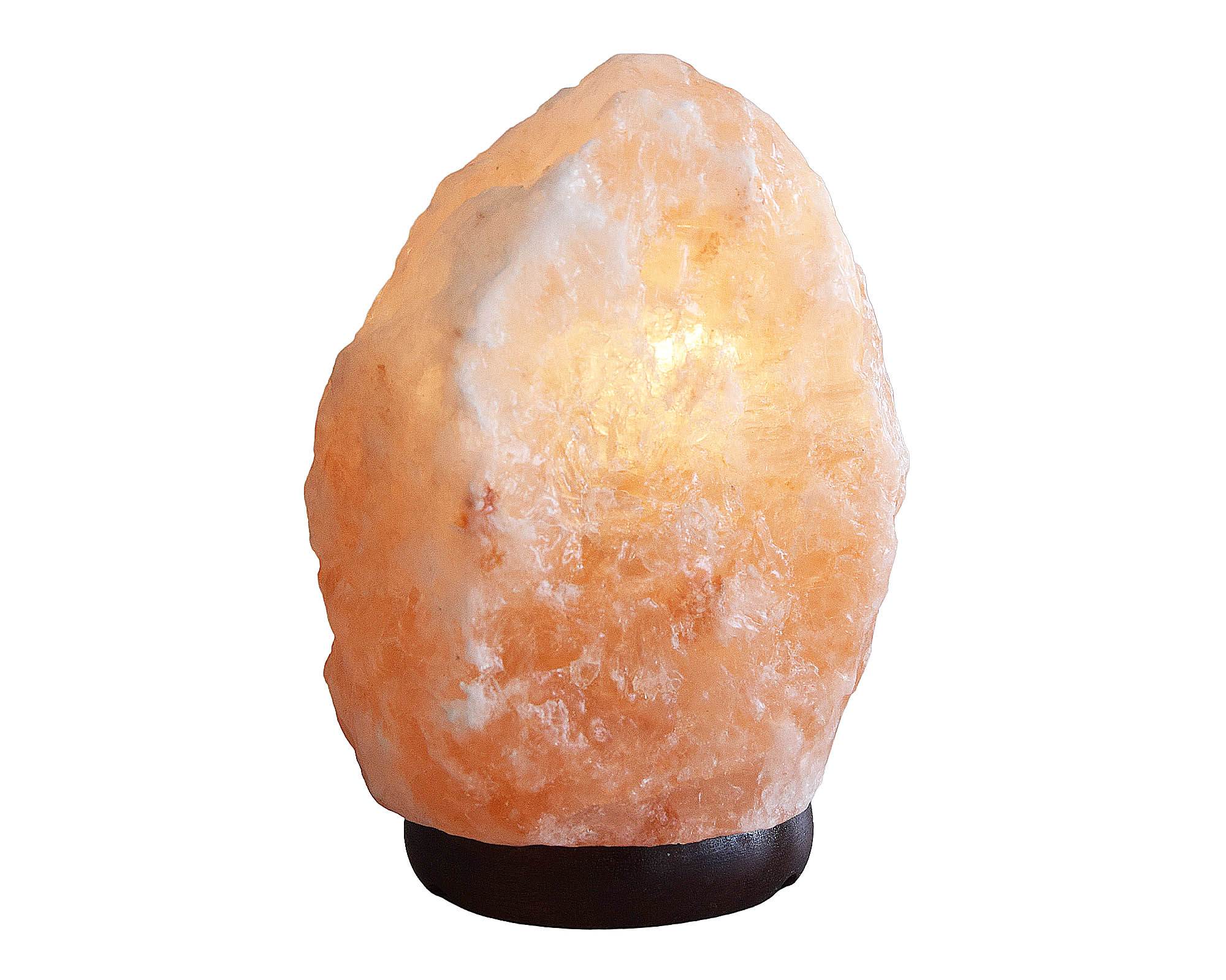 Lampada da Tavolo Himalayano 2/3kg in Cristalli di Sale - Floral Garden