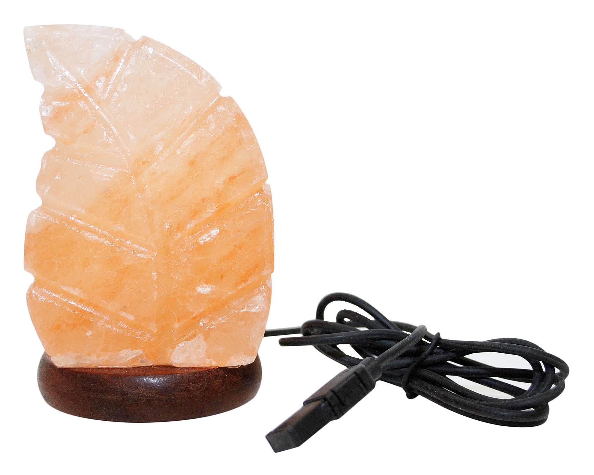 Lampada da Tavolo USB Himalayano Foglia in Cristalli di Sale - Floral Garden - immagine 3