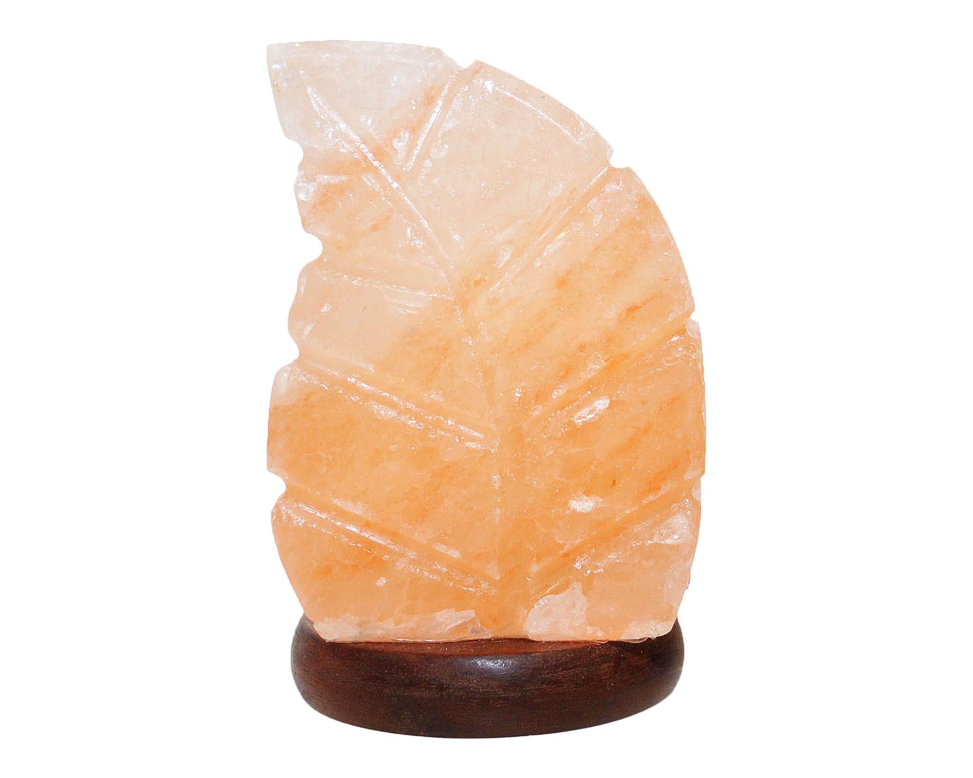 Lampada da Tavolo USB Himalayano Foglia in Cristalli di Sale - Floral Garden