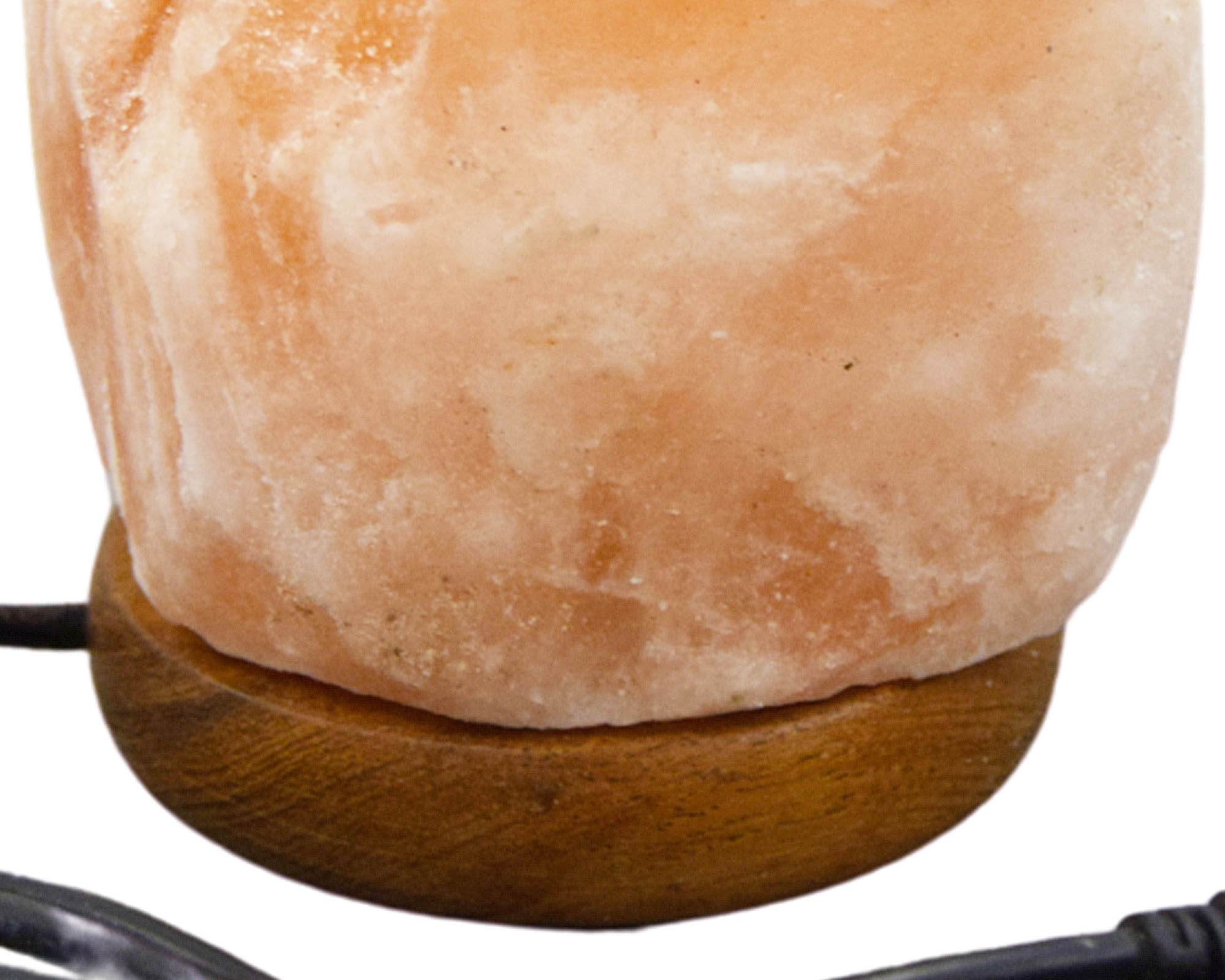 Lampada da Tavolo USB Himalayano Grezza in Cristalli di Sale - Floral Garden - immagine 2