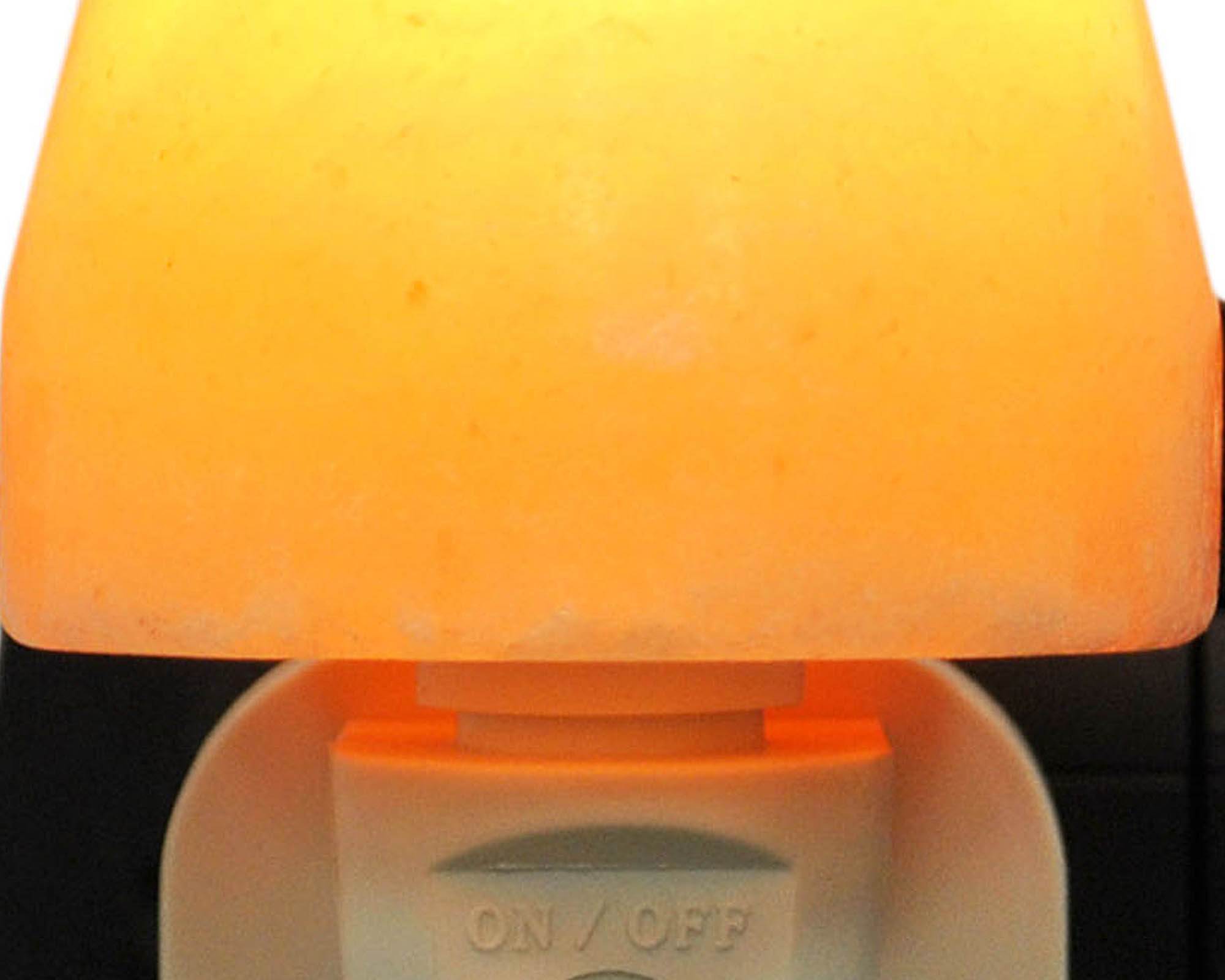 Lanterna da Parete Himalayano Grezza in Cristalli di Sale - Floral Garden - immagine 2