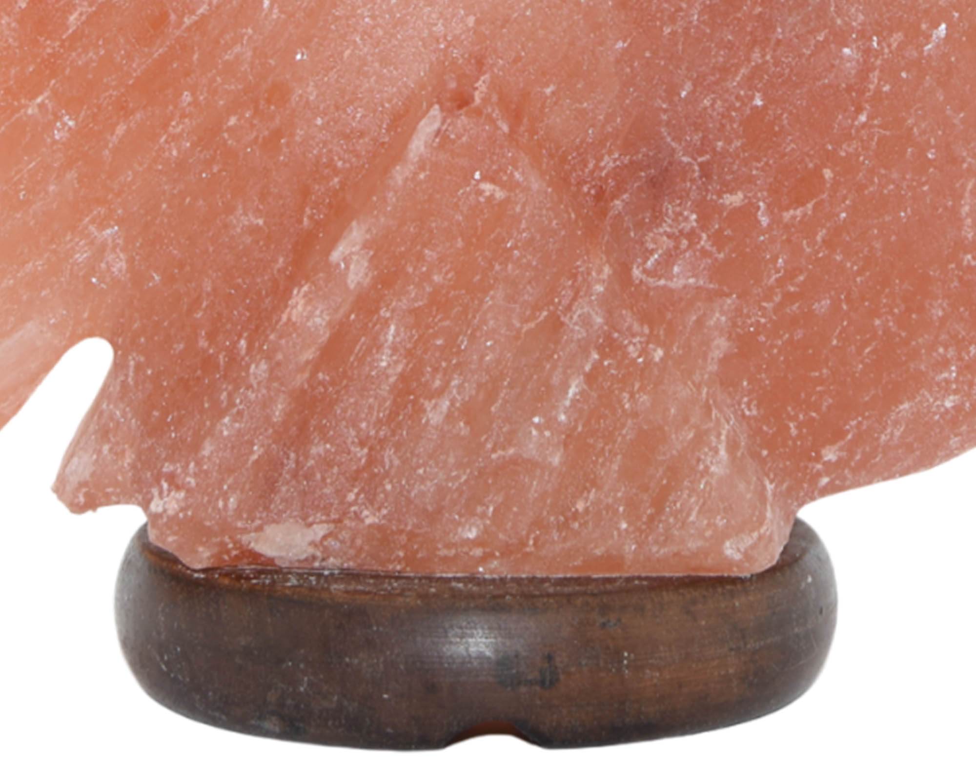 Lampada da Tavolo Himalayano Pesciolino in Cristalli di Sale- Floral Garden - immagine 2