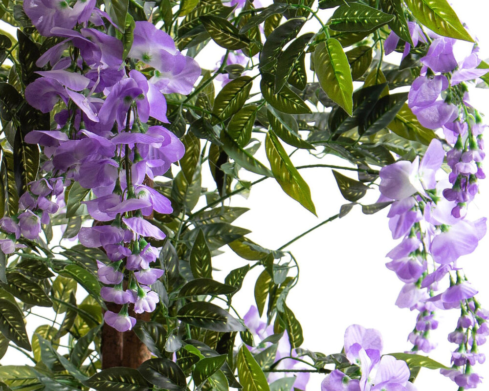 3 Cilindri Di Schiuma Per Fiori - Gloriax, 8x5 Cm, Multicolore - Foto 2