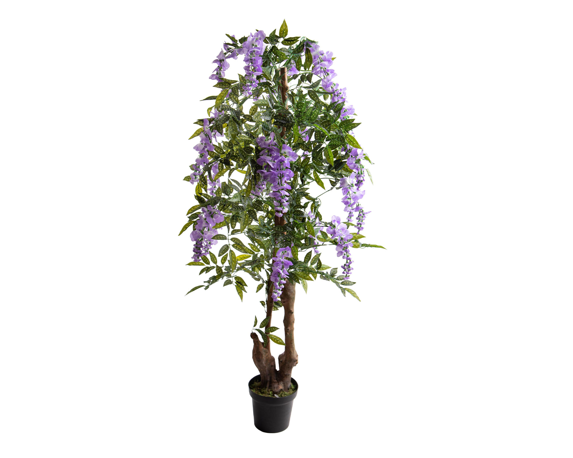 Glicine con Fiori e Vaso D70x160cm Pianta Artificiale in Plastica e Poliestere