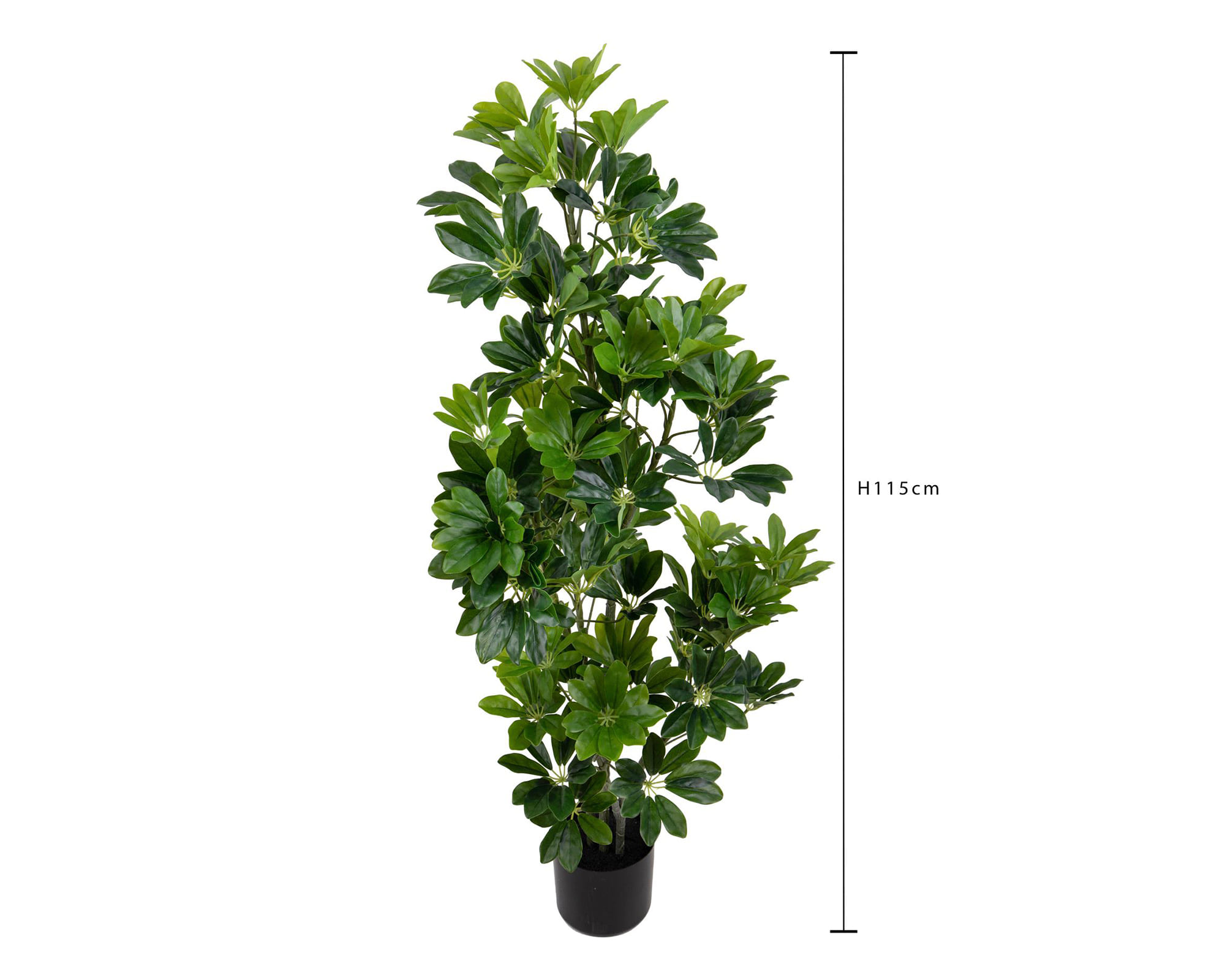 Real Touch Schefflera con Vaso D43x115cm Pianta Artificiale in Plastica e Poliestere - immagine 3