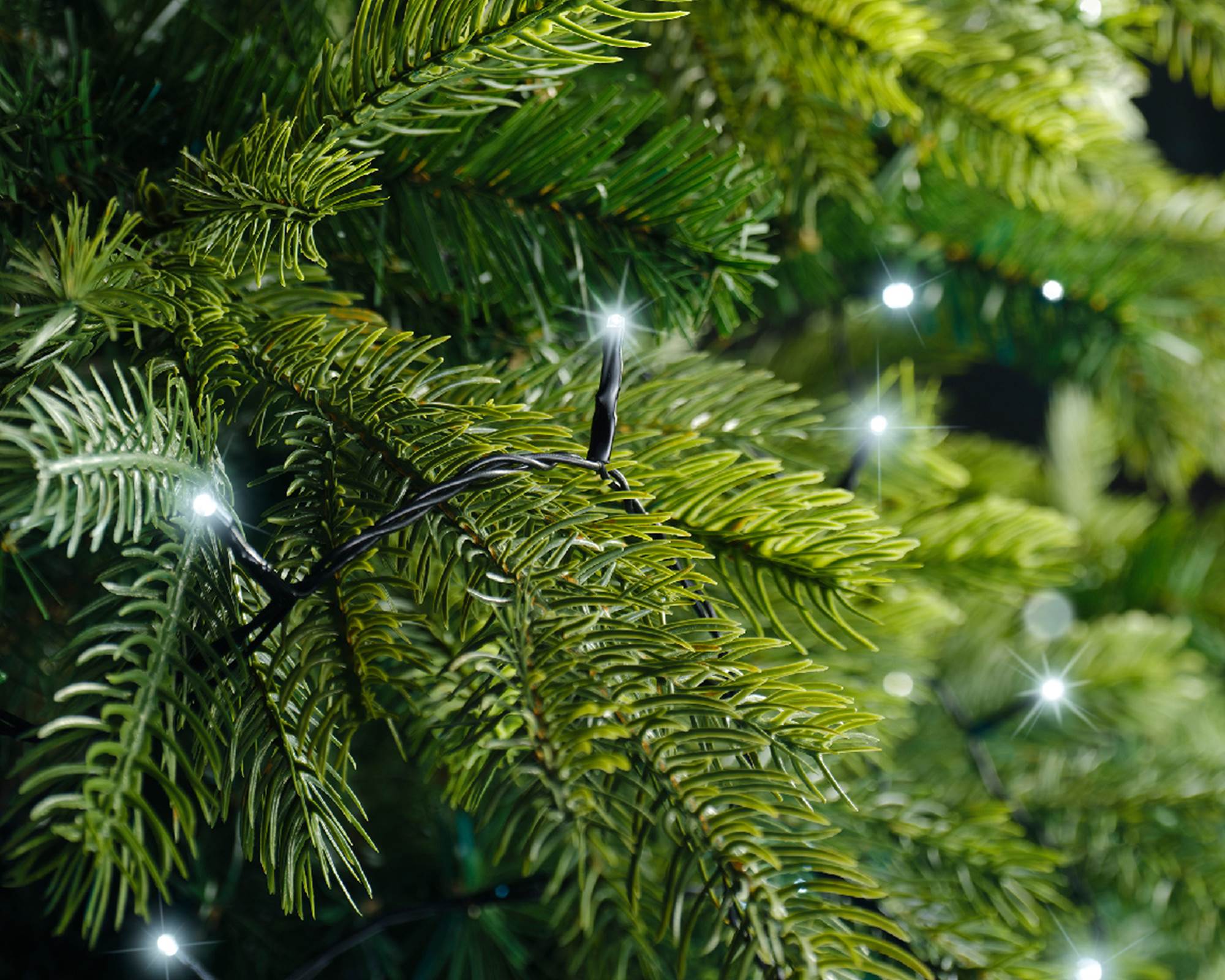 Luci Led 8 Funzioni Effetto Scintillante Nero e Bianco Freddo 2700cm in Pvc - immagine 6