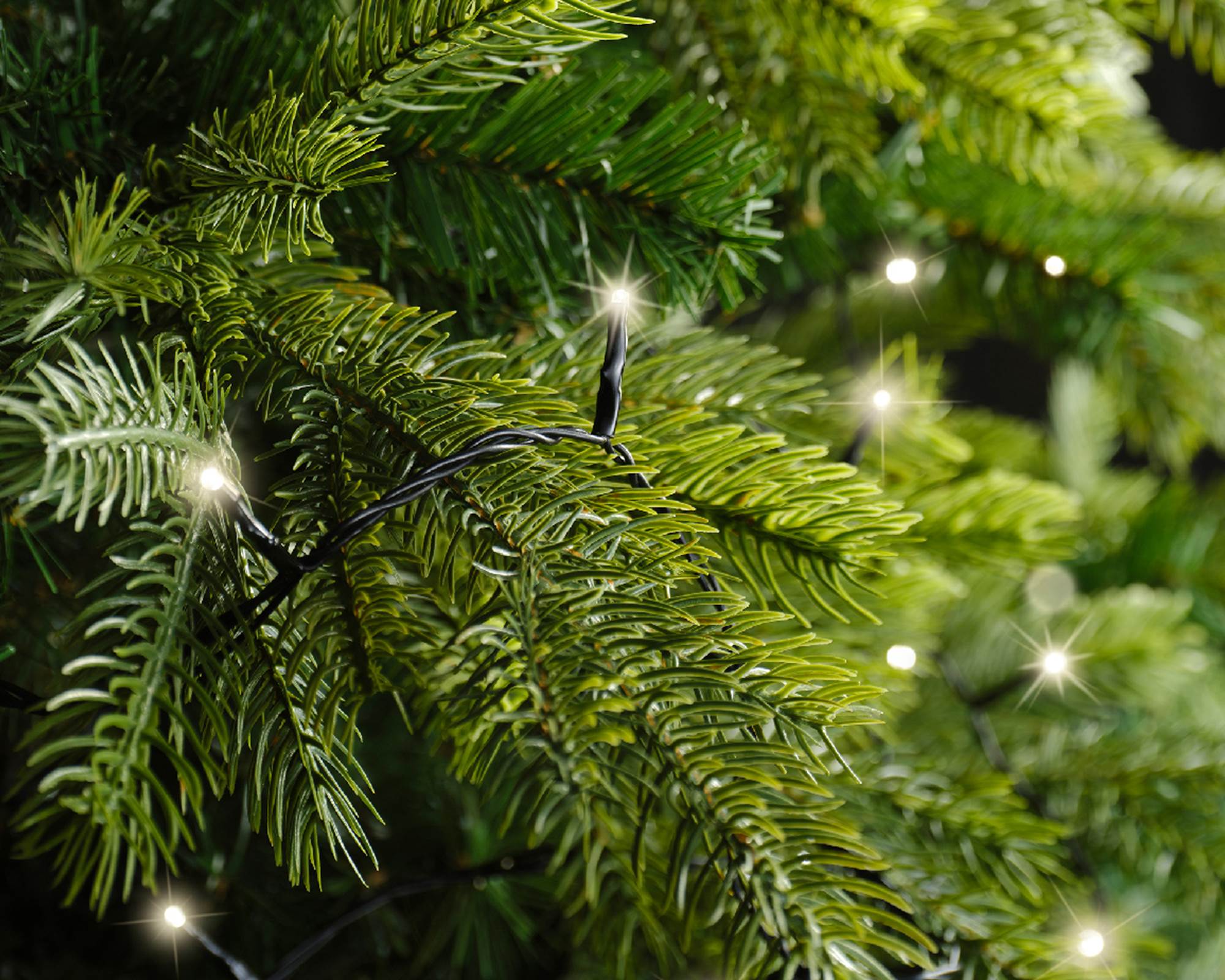 Luci Led 8 Funzioni Effetto Scintillante per Esterni Nero e Bianco Caldo 2700cm in Pvc - immagine 5