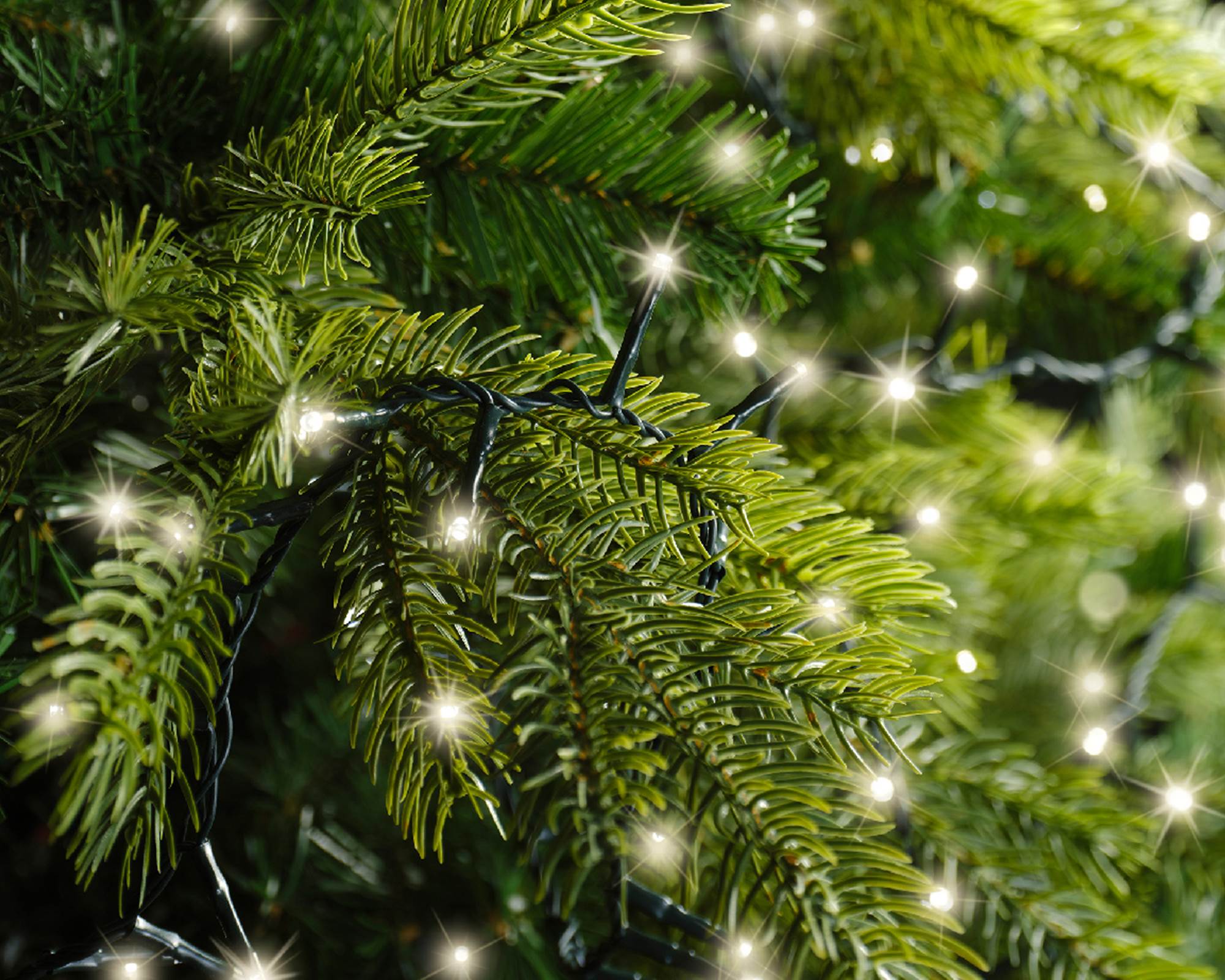 Luci Led Compatte 8 Funzioni per Esterni Verde e Bianco Caldo 1600cm in Pvc - immagine 6