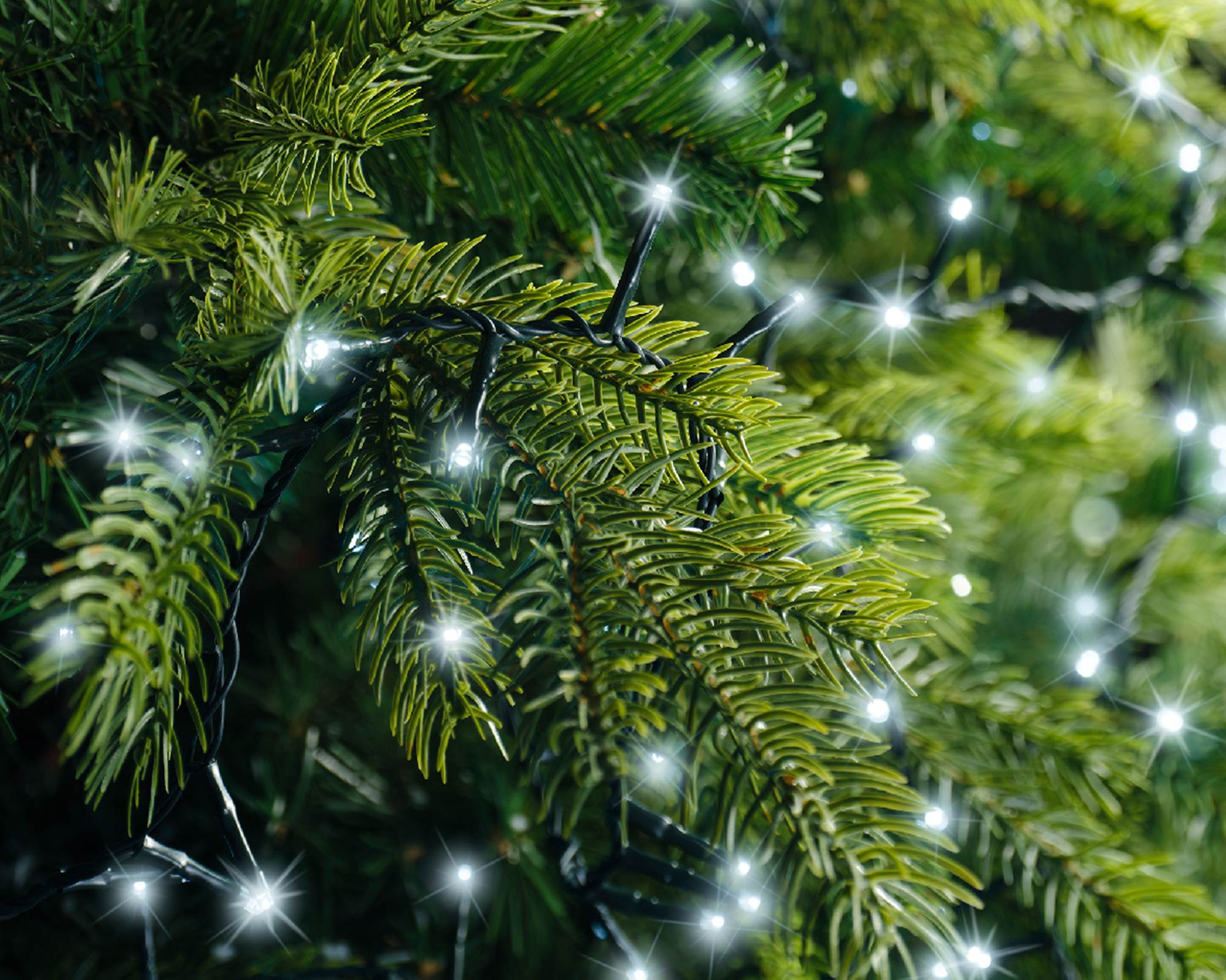 Luci Led Compatte 8 Funzioni Effetto Scintillante per Esterni Verde e Bianco Freddo 2250cm in Pvc - immagine 4