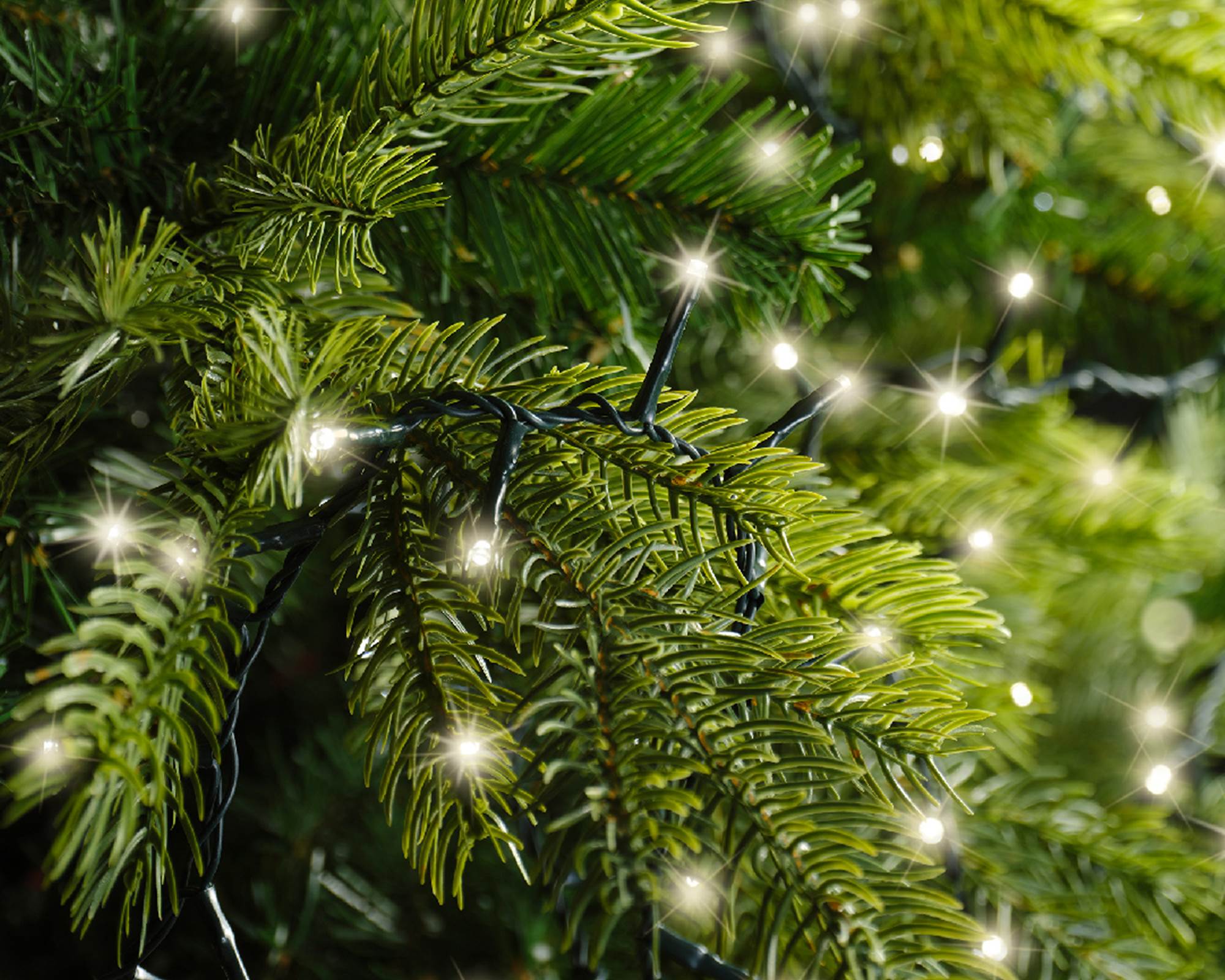 Luci Led Compatte 8 Funzioni Verde e Bianco Calda 2250cm in Pvc - immagine 4