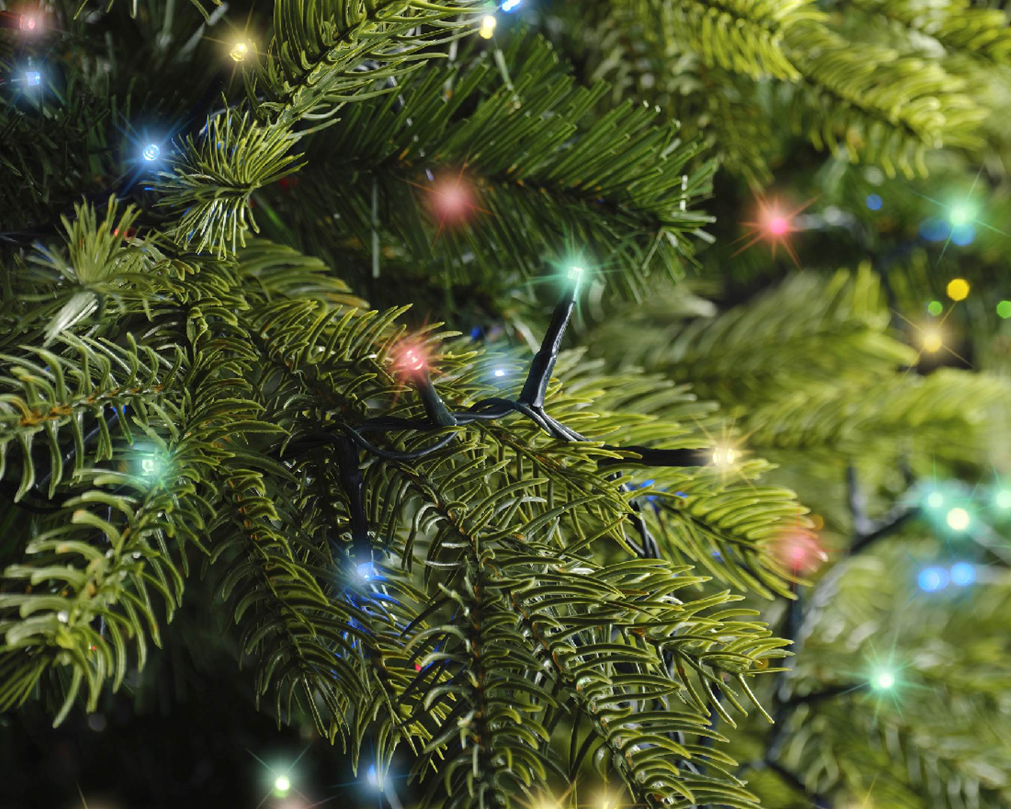 Luci Led Compatte 8 Funzioni Effetto Scintillante Multicolor 1100cm in Pvc - immagine 3