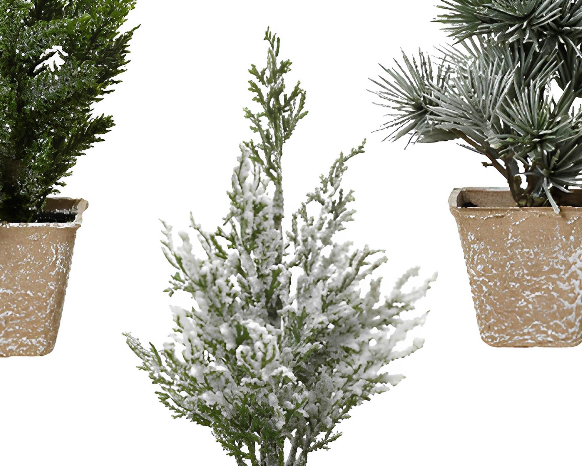 Mini Albero Indoor 6 Assortiti Verde 8x8x20cm in Polietilene - immagine 2