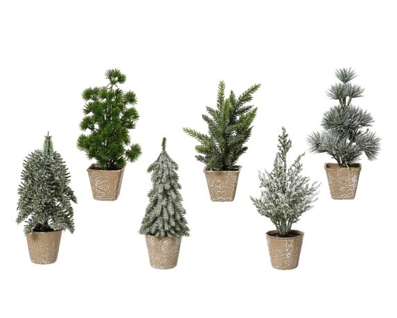 Mini Albero Indoor 6 Assortiti Verde 8x8x20cm in Polietilene