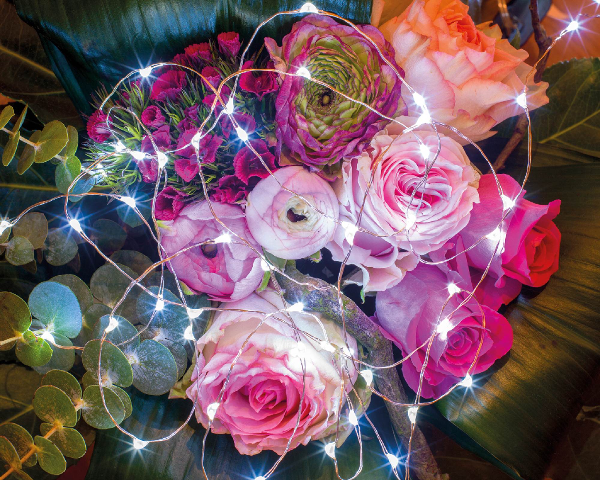 Catena Micro Luci Led Fisse per Interno Argento e Bianco 95cm in Pvc - immagine 4