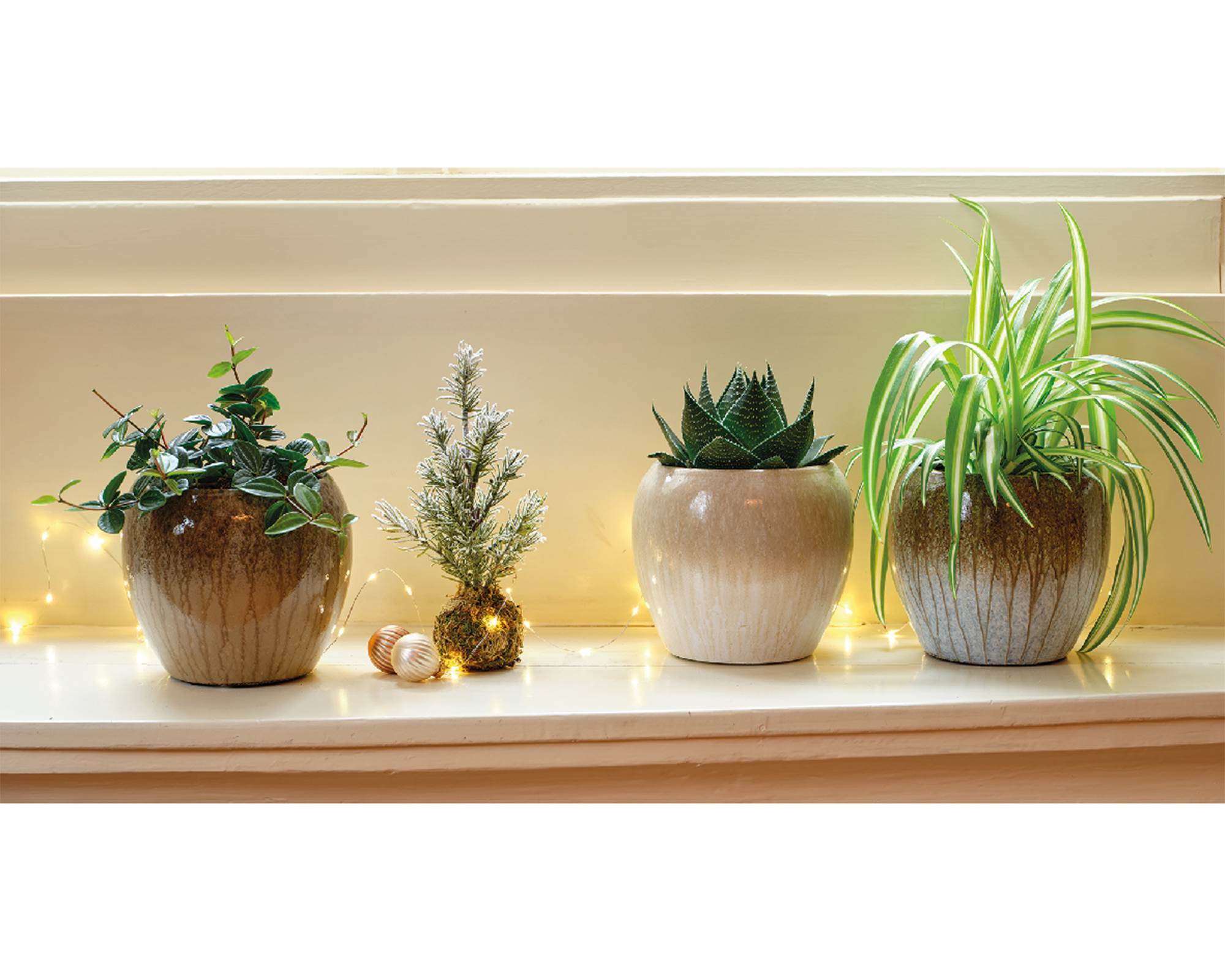 Cachepot Assortiti 16x16x14 in Terracotta - immagine 2