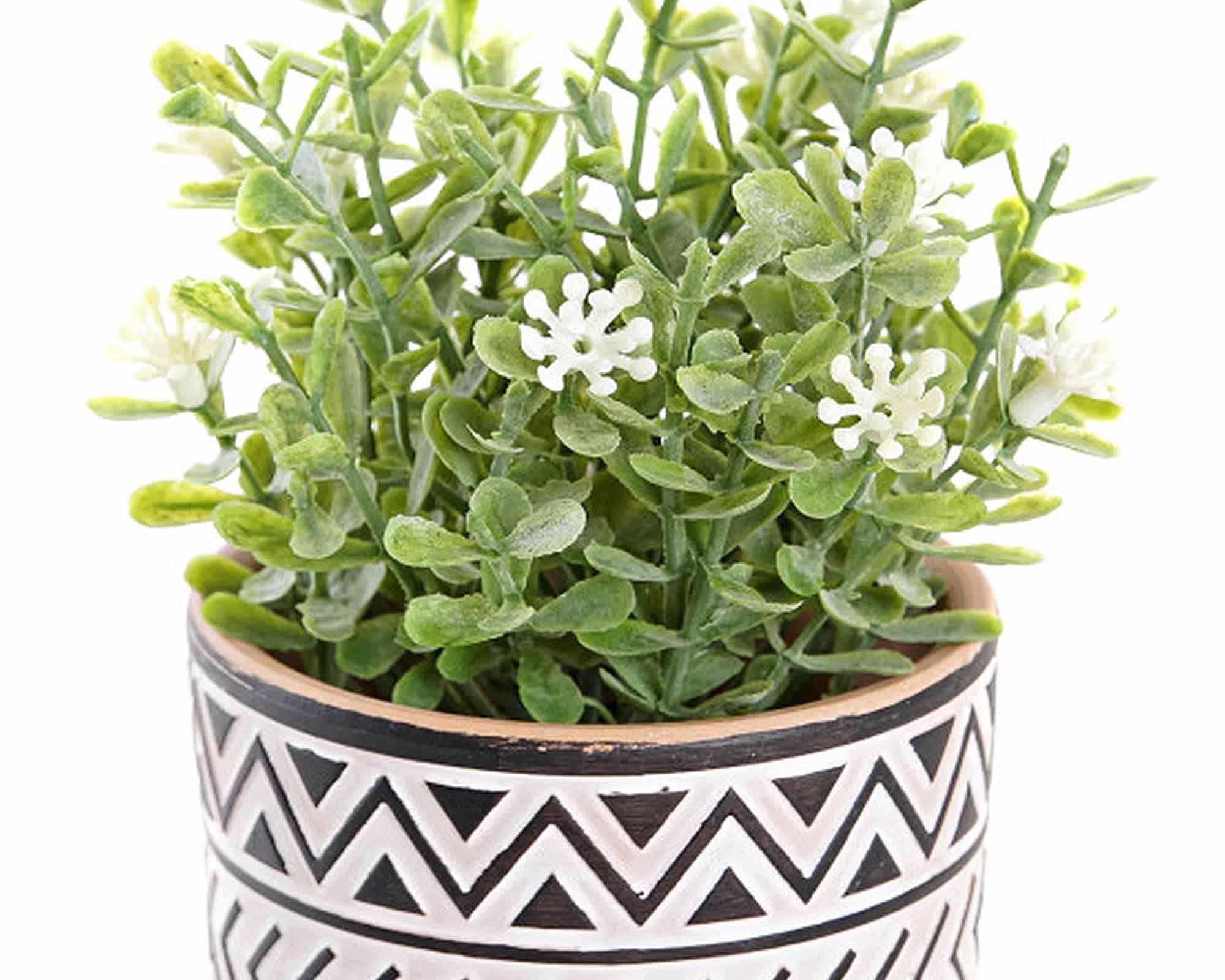 Pianta Verde con Ciotola Assortito D10x15cm in Plastica e Cemento - immagine 2